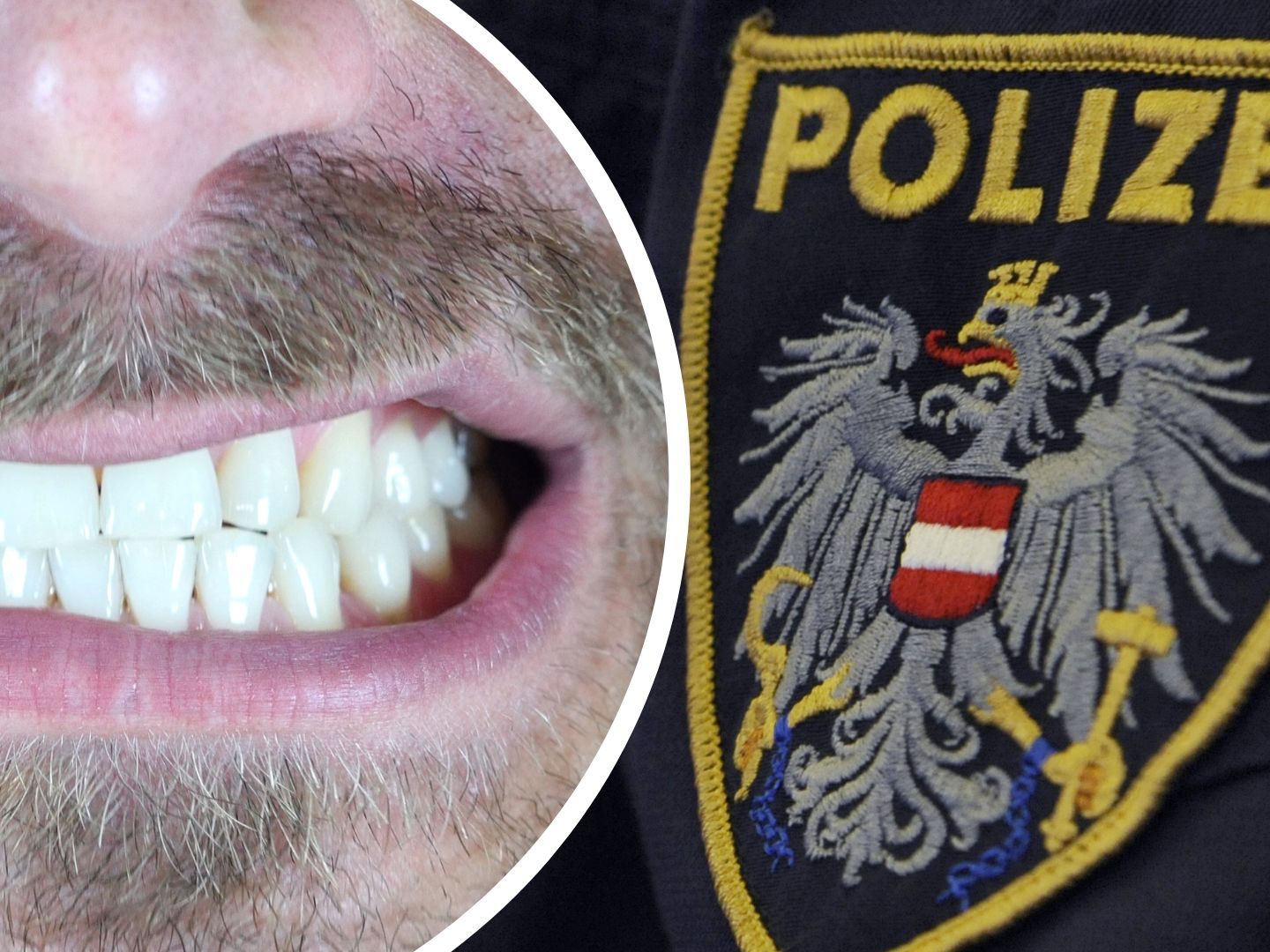 Ein Ladendieb biss in Wien-Favoriten zu.