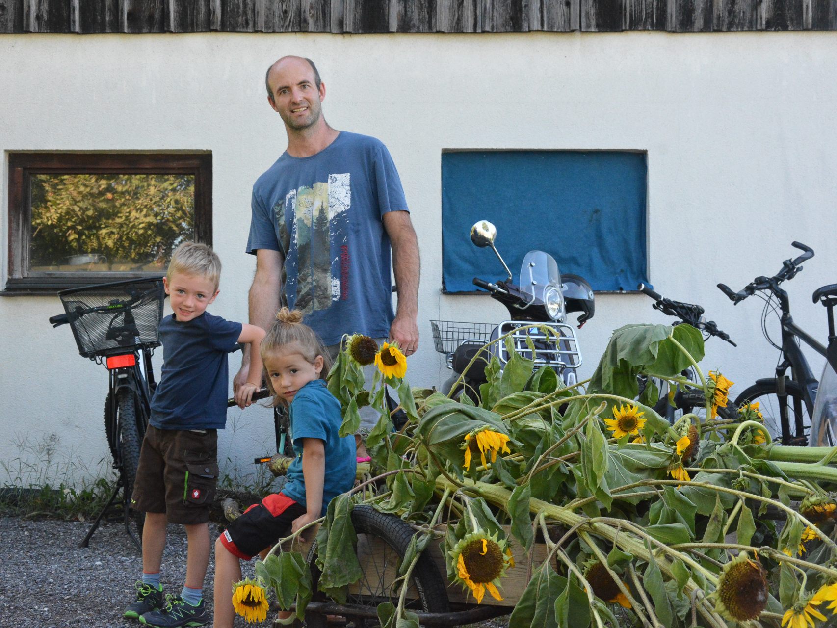 Der Obst- und Gartenbauverein suchte die größte Sonnenblume und lud zum Festplatz in der Nähe des Alten Rheins. Der Obst- und Gartenbauverein suchte die größte Sonnenblume und lud zum Festplatz in der Nähe des Alten Rheins.