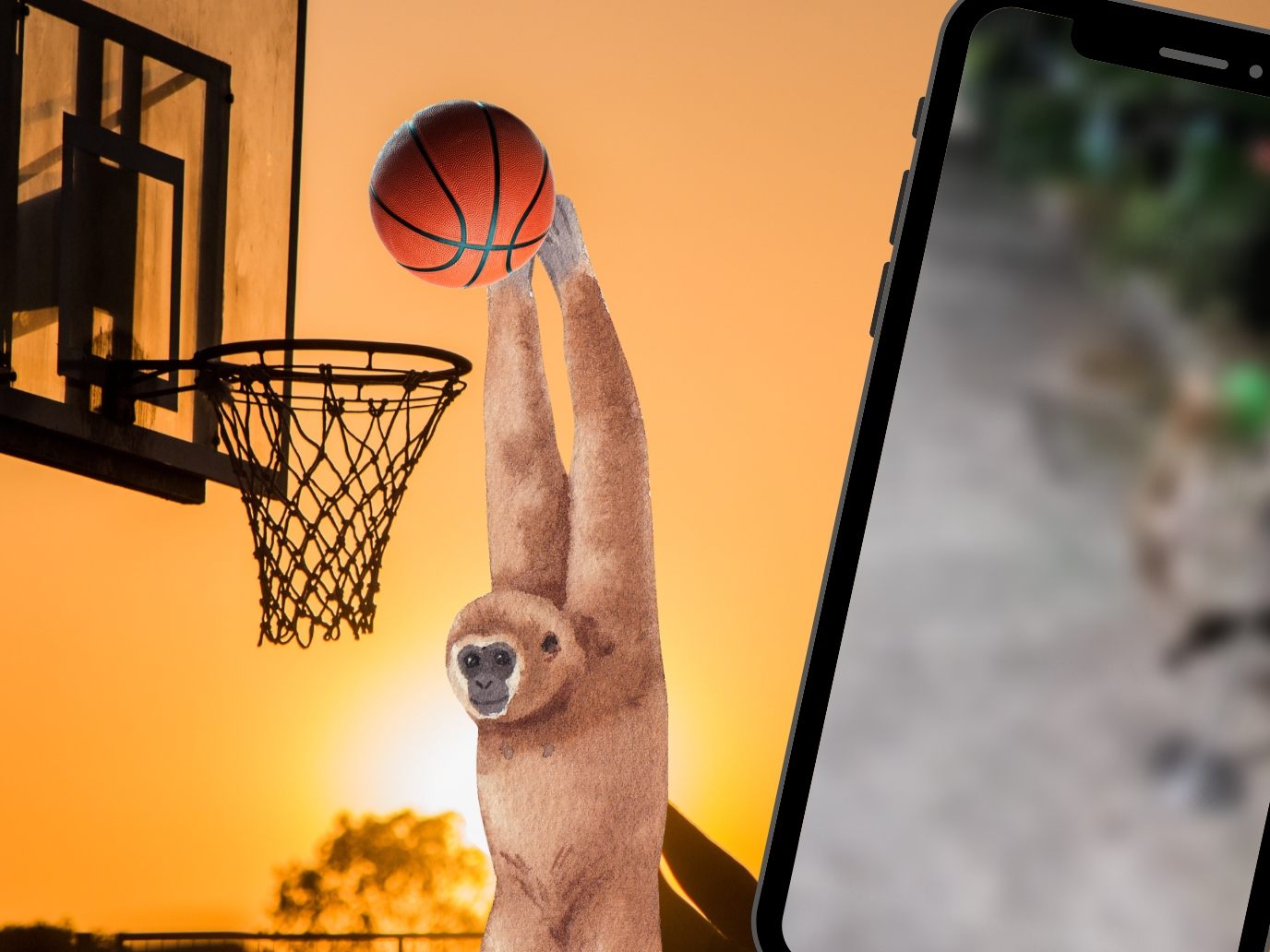 Affe dunkt Ball