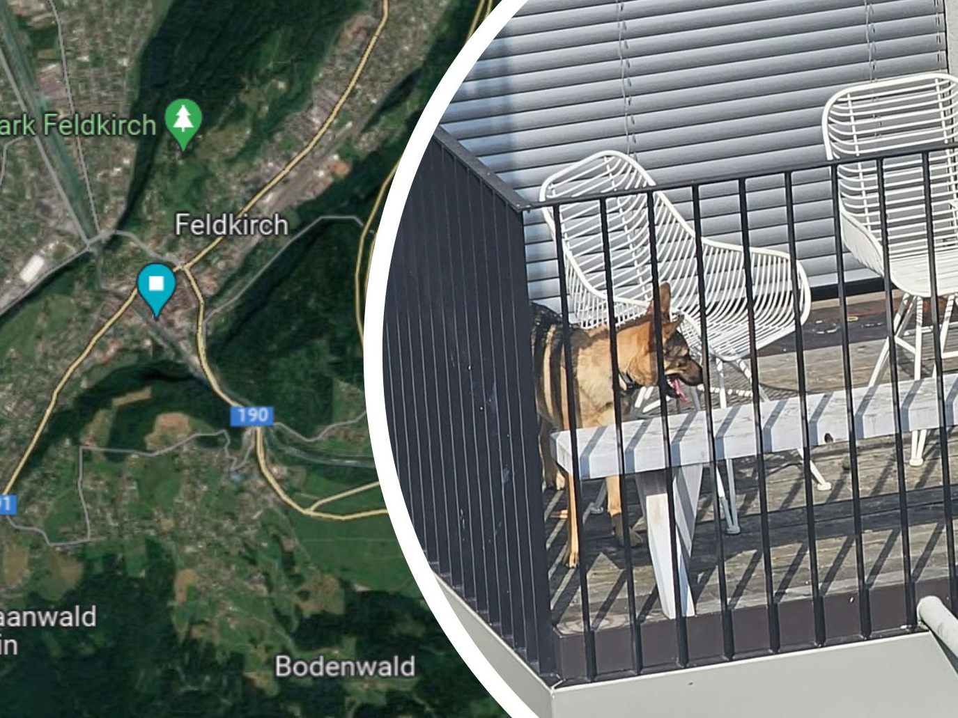 Ein Hund war ohne Schnatten auf dem Balkon ausgesperrt. Ein Hund war ohne Schnatten auf dem Balkon ausgesperrt.