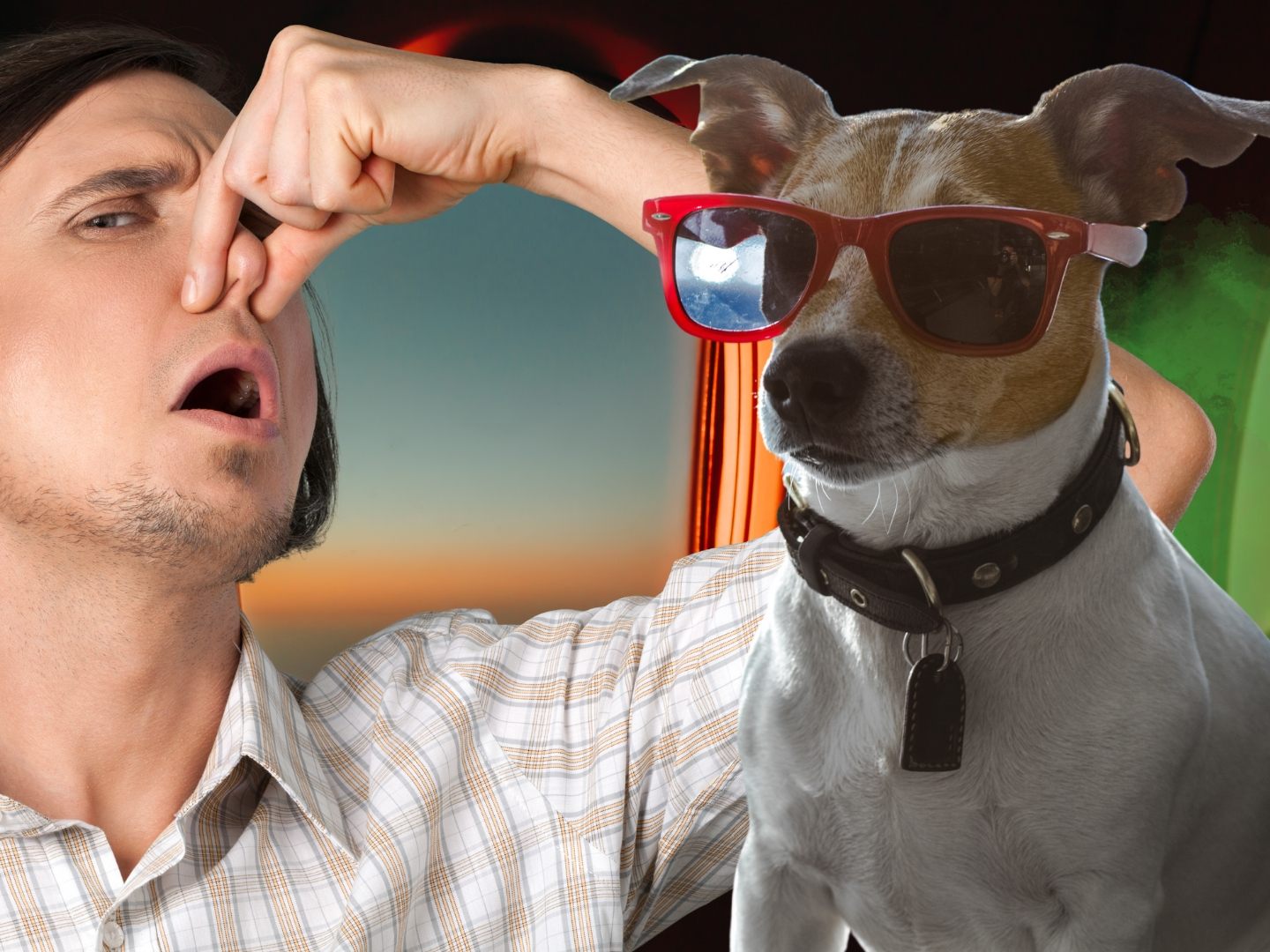 13-Stunden-Flug und Hund stinkt ununterbrochen 13-Stunden-Flug und Hund stinkt ununterbrochen