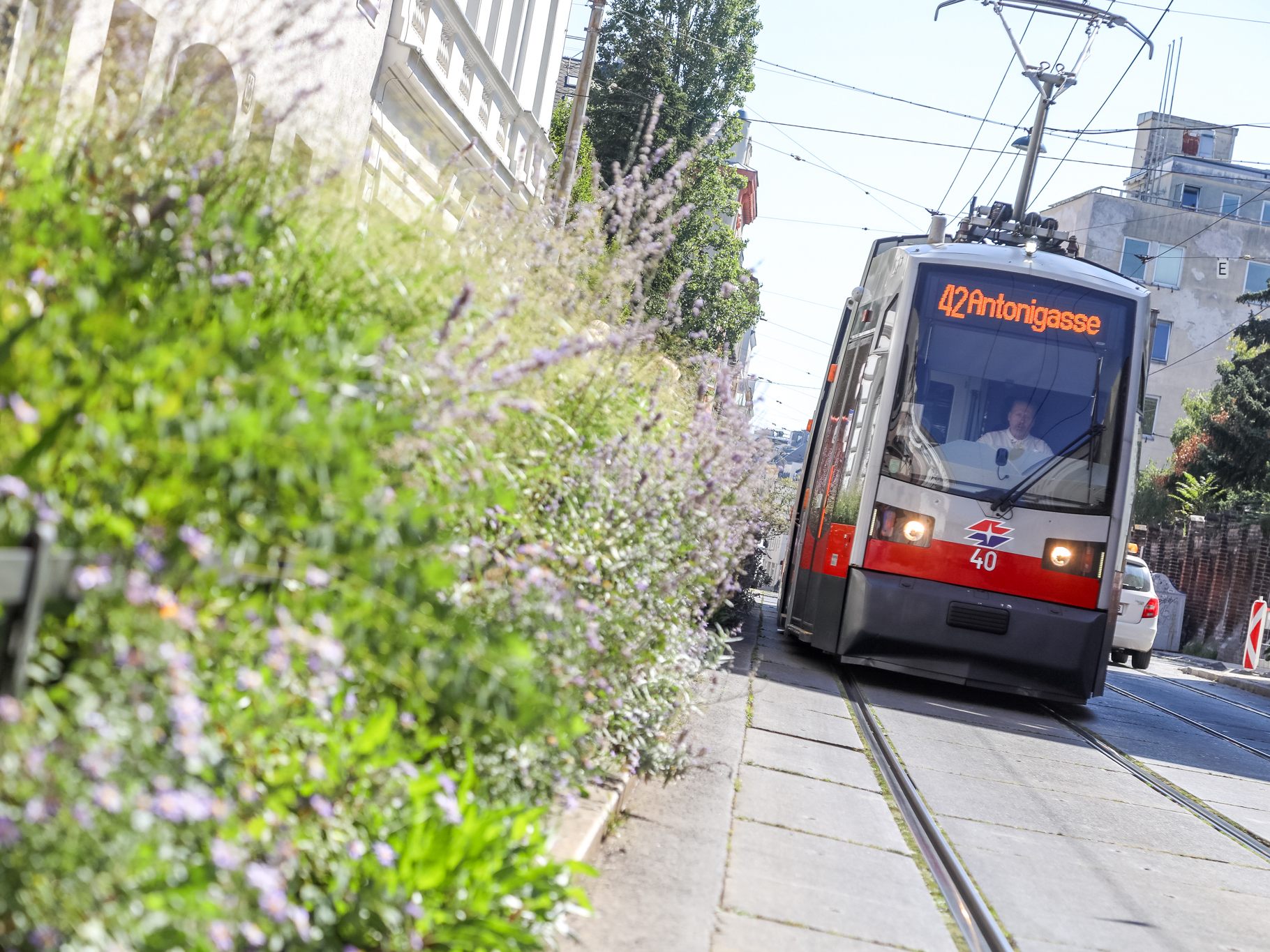 Straßenbahnen wurden im Wiener Stadtgebiet letztes Jahr hunderte Male blockiert. Straßenbahnen wurden im Wiener Stadtgebiet letztes Jahr hunderte Male blockiert.