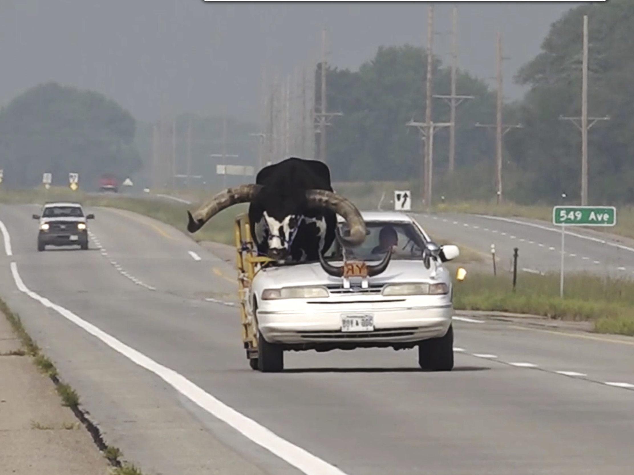 Unglaublich wer hier Co-Pilot ist. Unglaublich wer hier Co-Pilot ist.