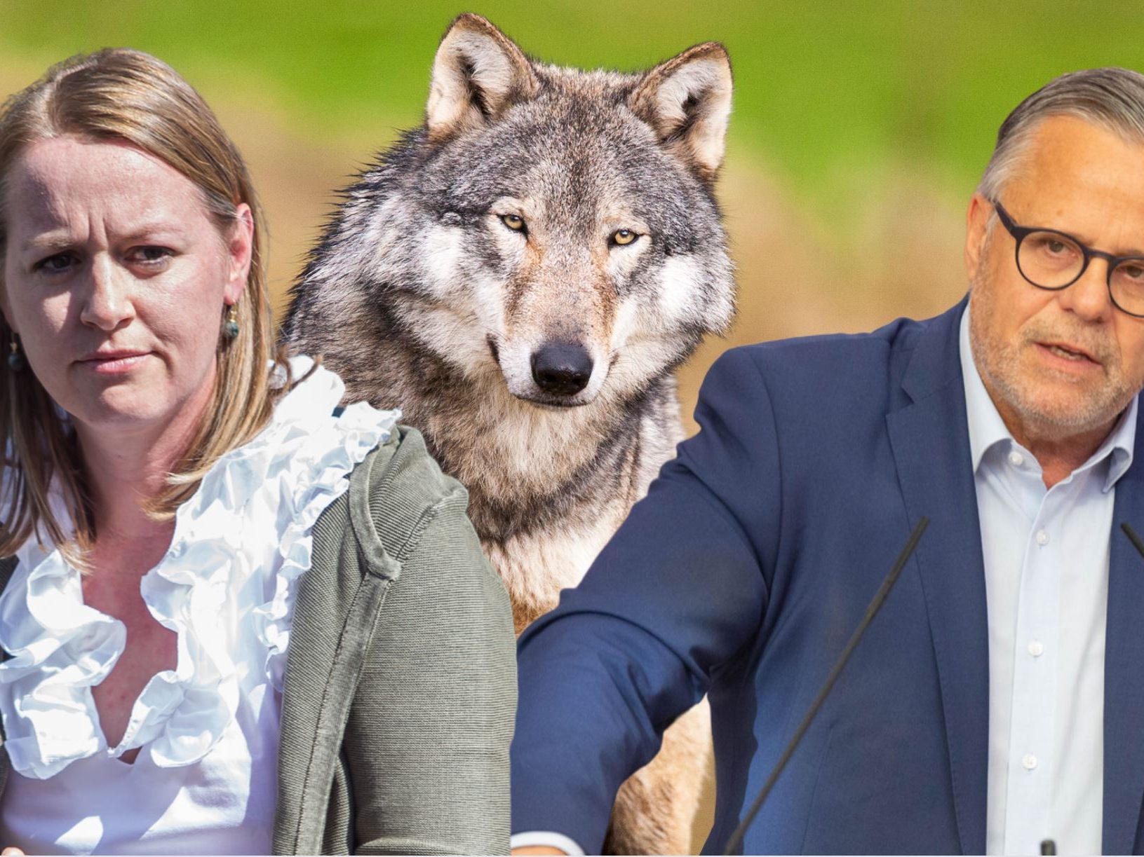 ÖVP und Grüne einigten sich auf Maßnahmenpaket, ÖVP und Grüne einigten sich auf Maßnahmenpaket,
