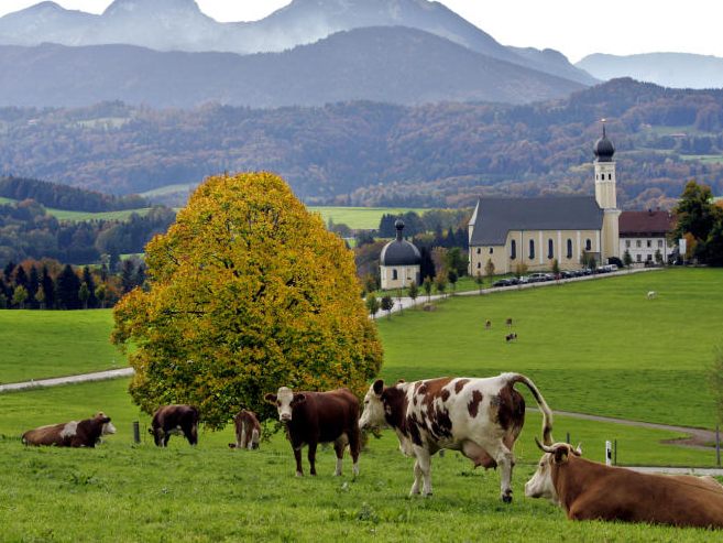 Eine Ausstellung widmet sich dem Thema Urlaub am Land. Eine Ausstellung widmet sich dem Thema Urlaub am Land.