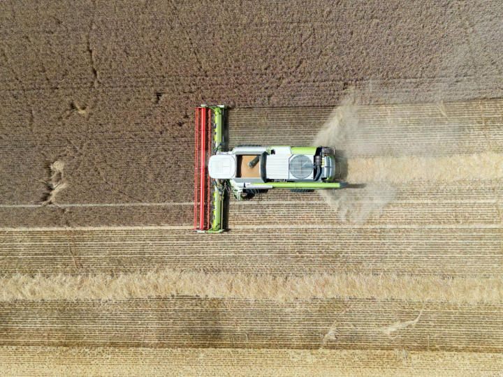 Wetterextreme Ende August sorgten für Ernteausfälle bei oberösterreichischen Landwirten. Wetterextreme Ende August sorgten für Ernteausfälle bei oberösterreichischen Landwirten.