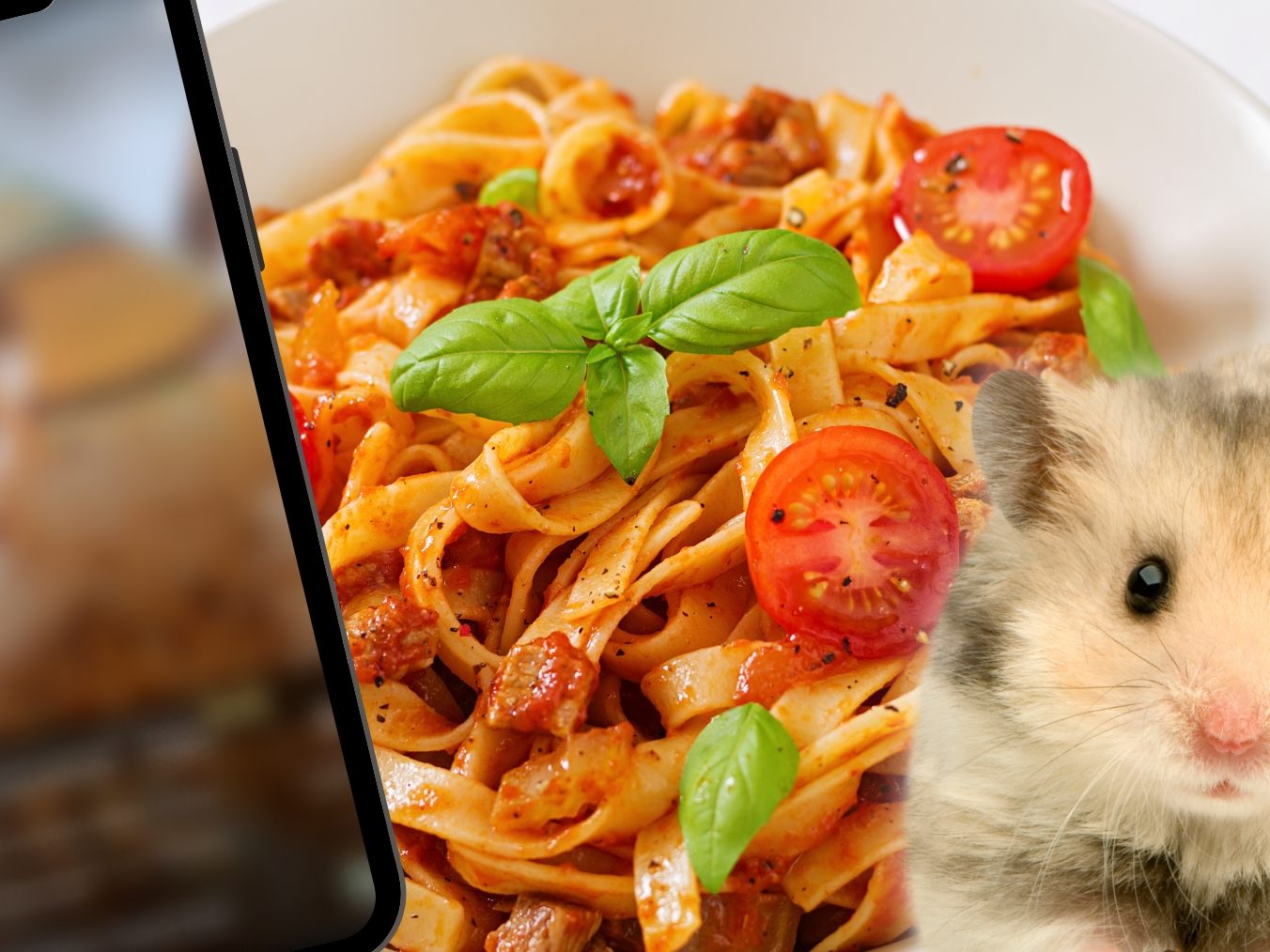 Hamster isst genüsslich Spaghetti - Bolognese