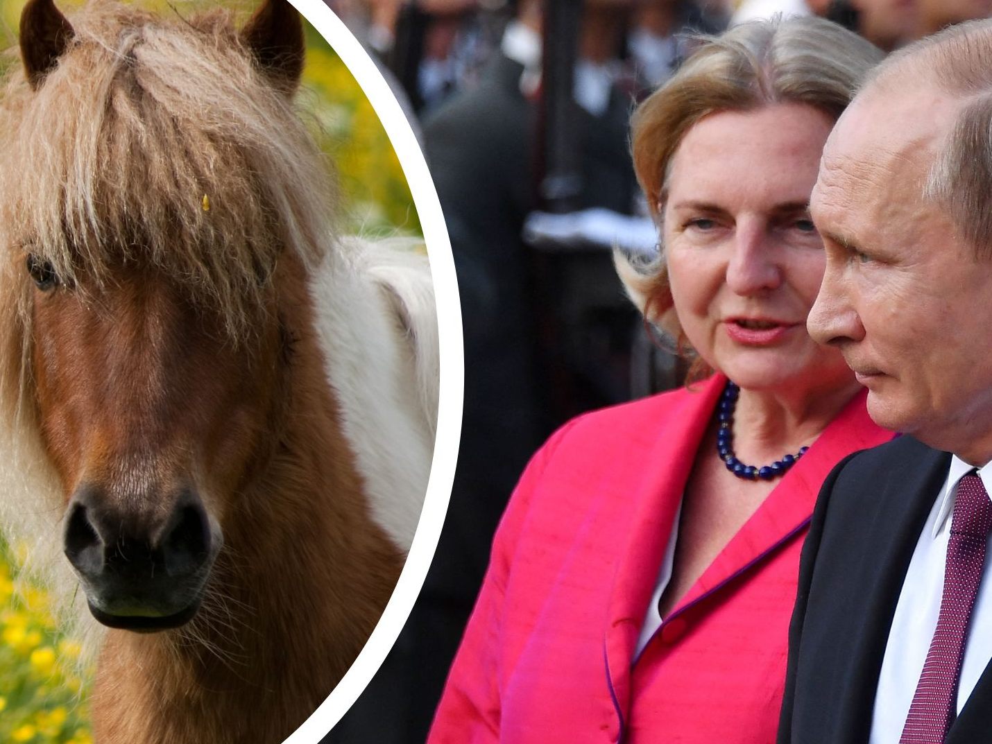 Ex-Politikerin kritisierte, dass ihre Übersiedlung nach Russland in Österreich zum Politikum werde Ex-Politikerin kritisierte, dass ihre Übersiedlung nach Russland in Österreich zum Politikum werde