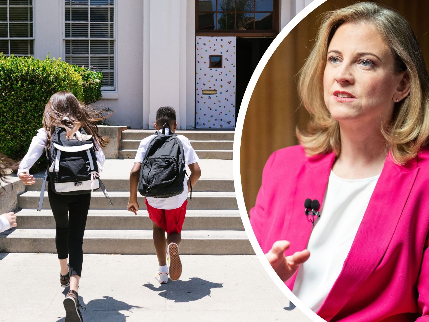 Petition an Polaschek gestartet.