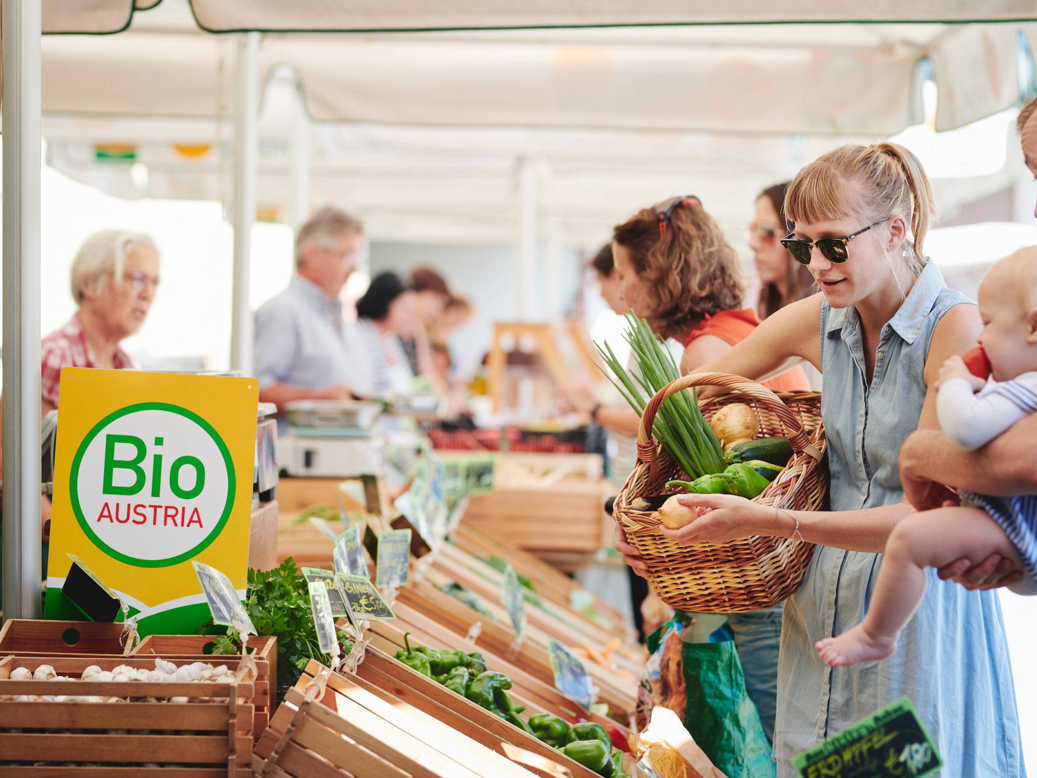 Bio Austria lädt am 22. September zu den Bio Tagen und zum Genussmarkt beim Wiener Palmenhaus ein. Bio Austria lädt am 22. September zu den Bio Tagen und zum Genussmarkt beim Wiener Palmenhaus ein.