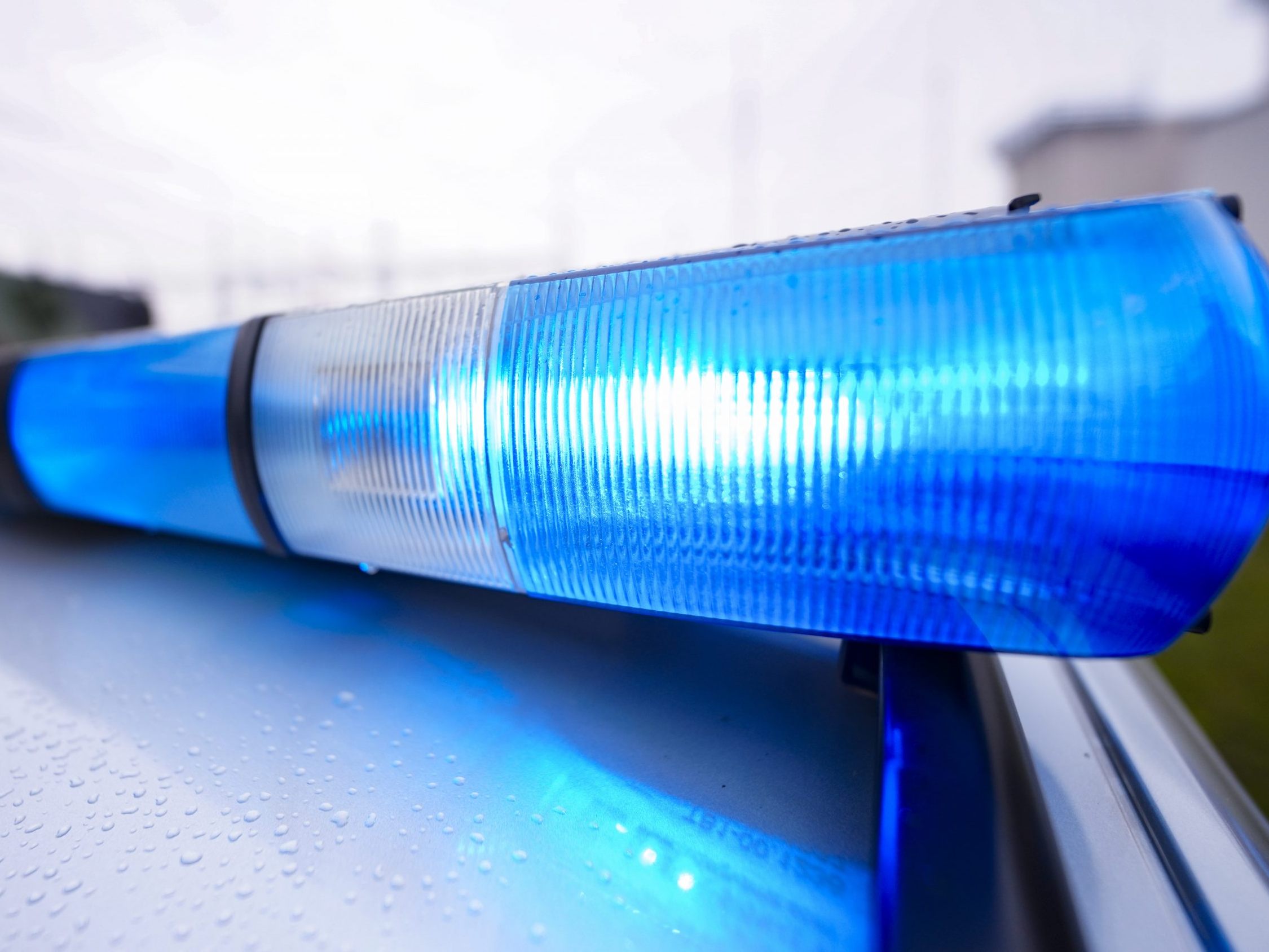 Ein mutmaßlicher Schlepper ist in Kärnten festgenommen worden.