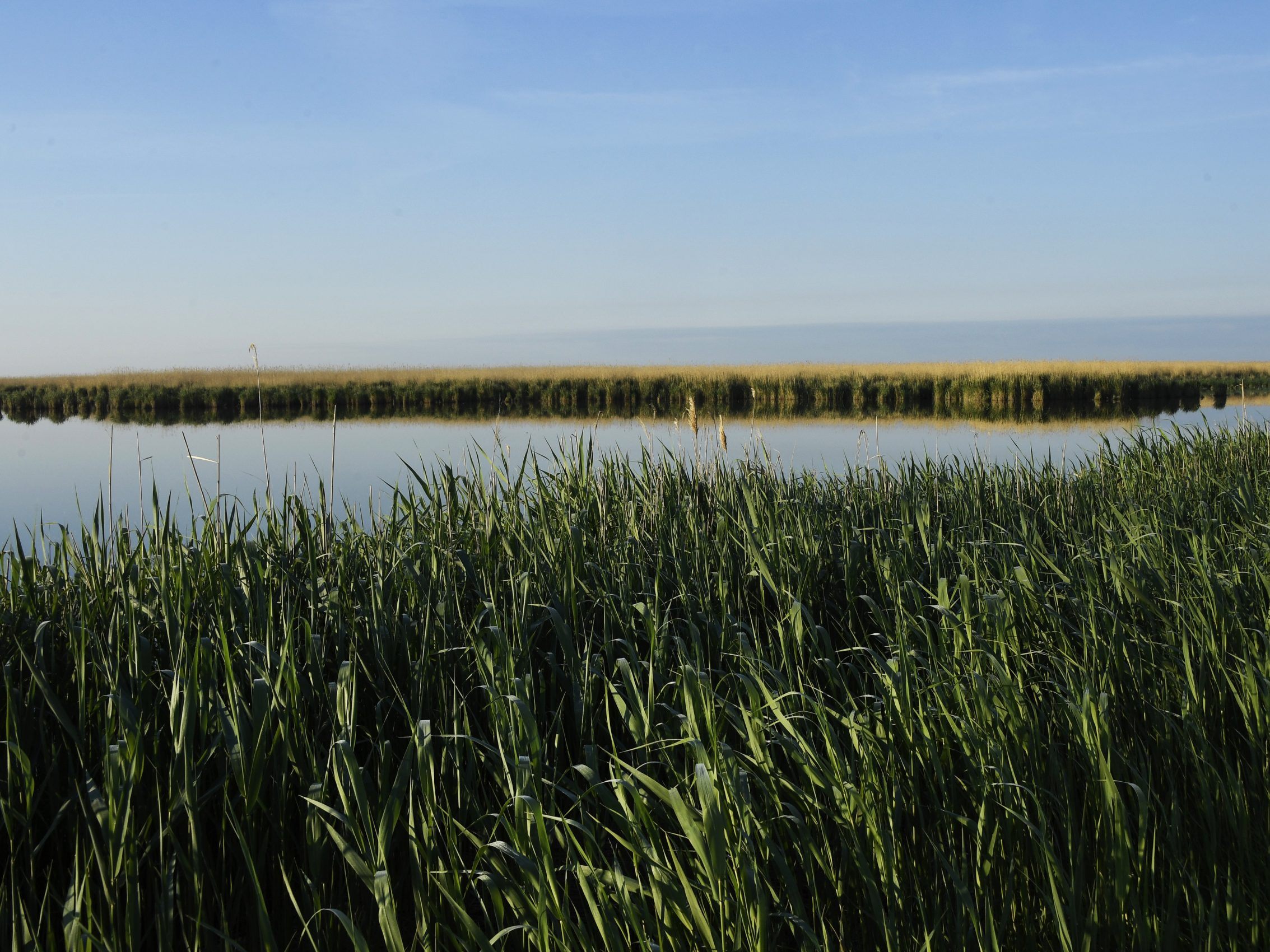 Ungarn ist offenbar vor einem Rückzieher beim Großprojekt am Neusiedler See.