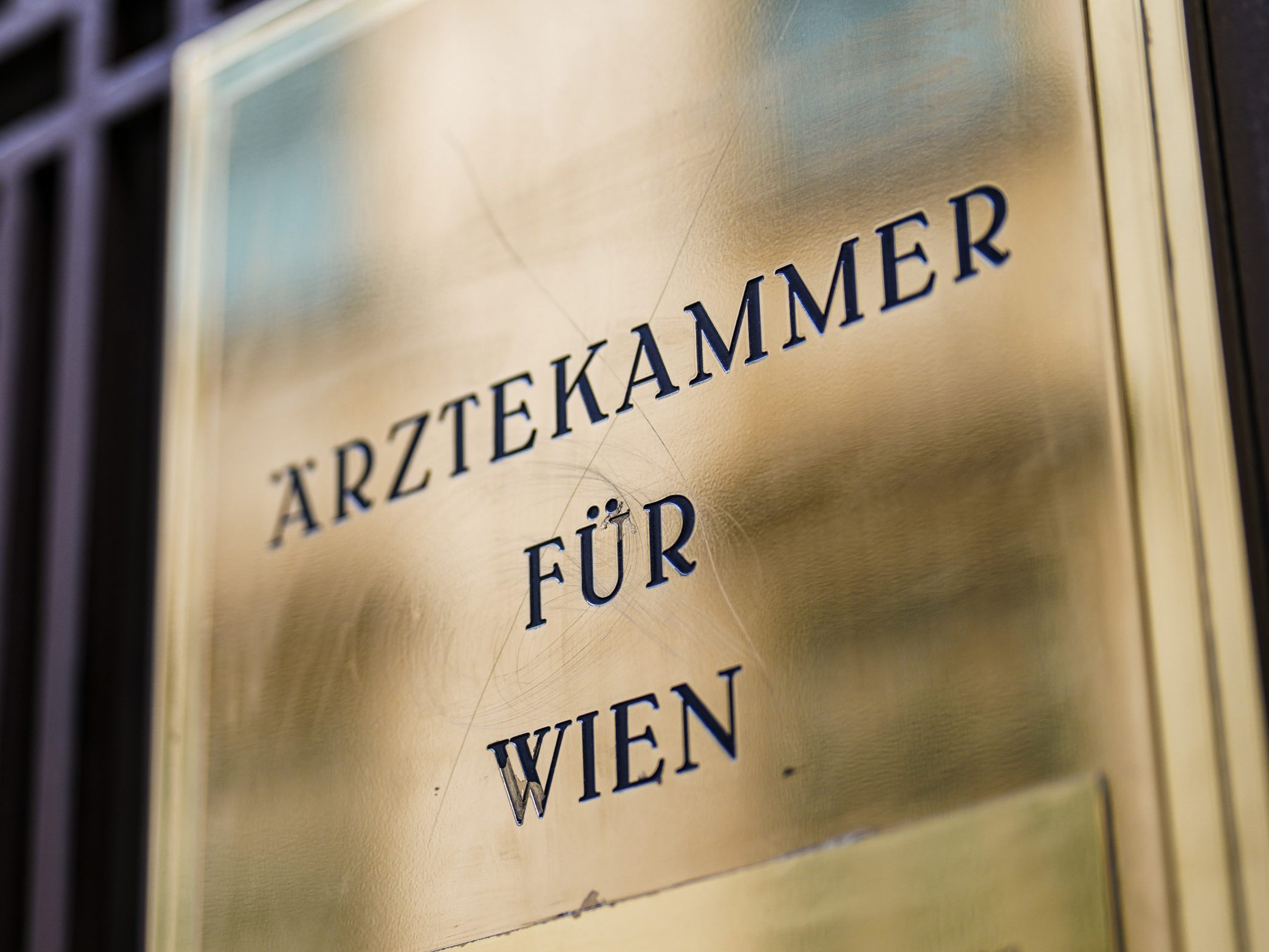 Kamaleyan-Schmied neue Obfrau der niedergelassenen Ärzte.