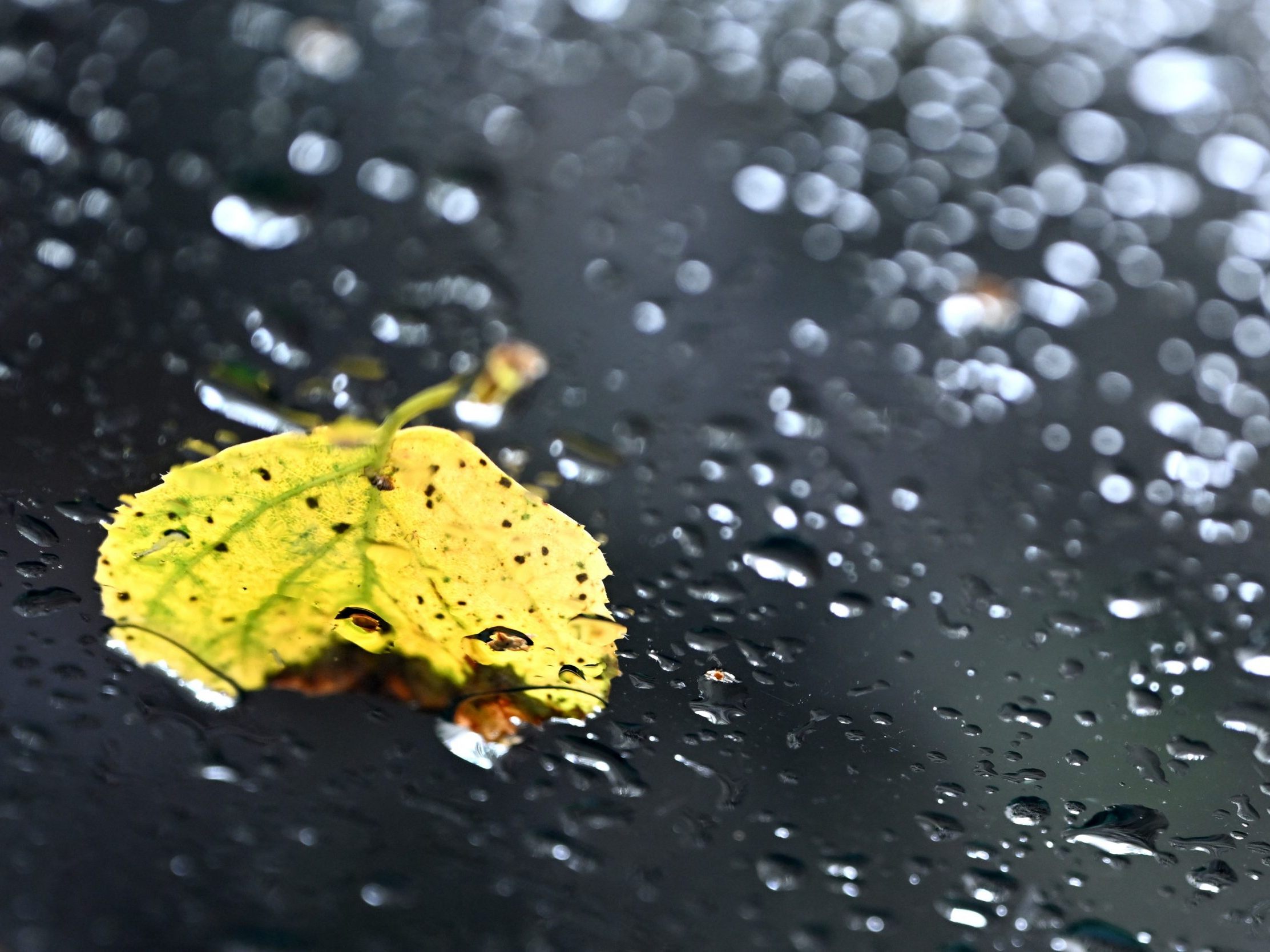 Warnung vor starken Regenfällen. Warnung vor starken Regenfällen.