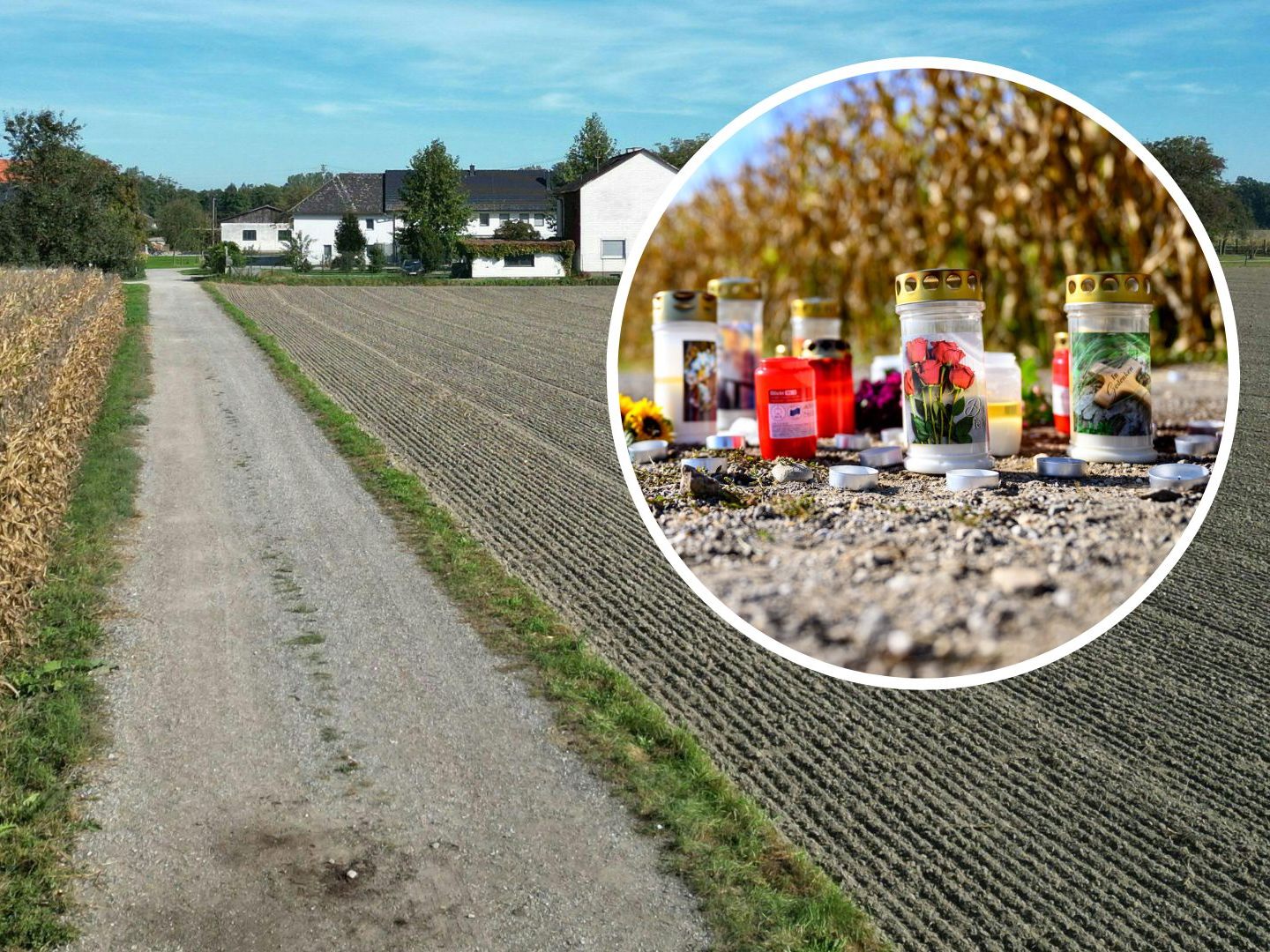 Das Paar hat alle Tiere bereits freiwillig abgegeben.