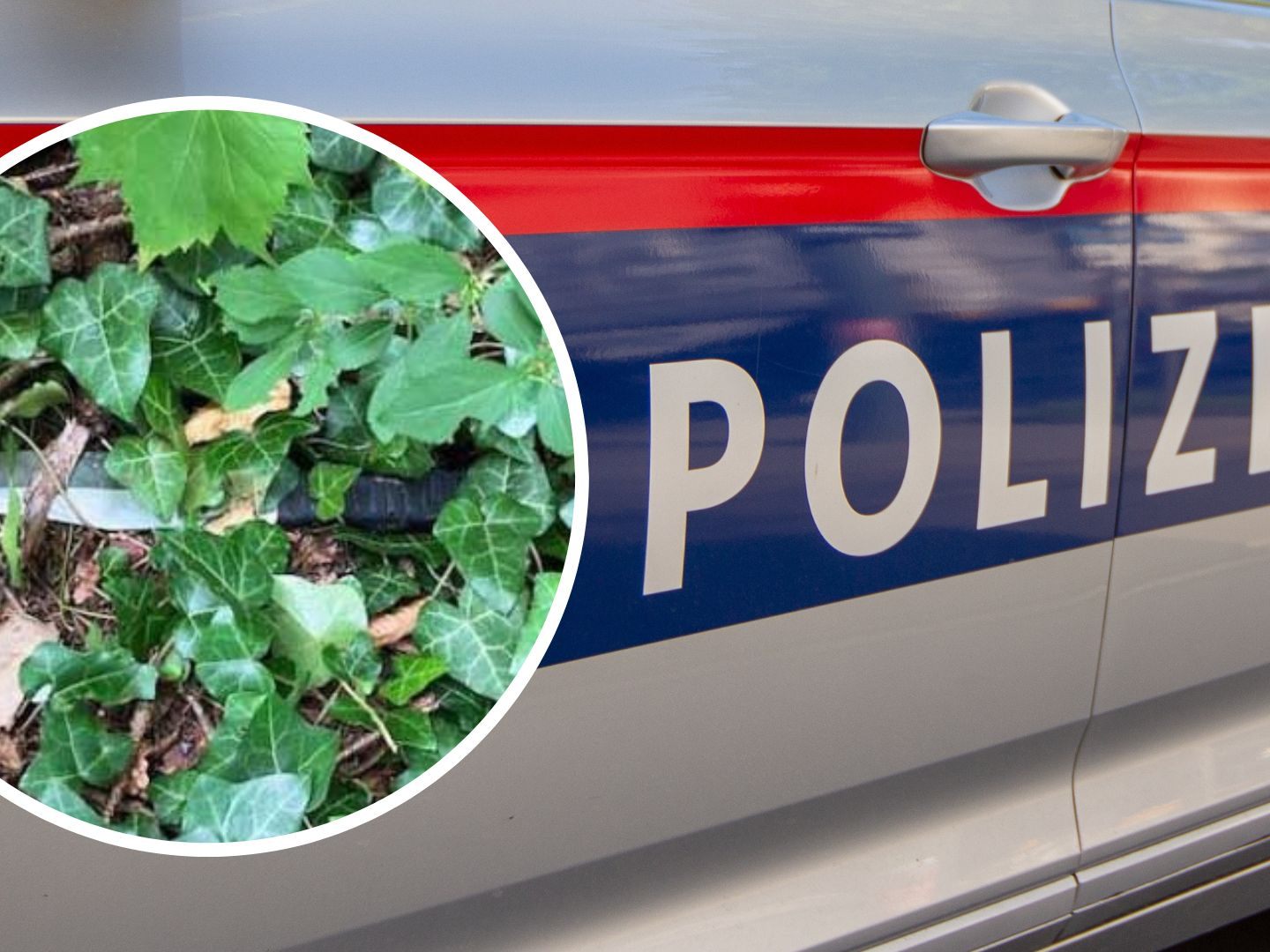 Ein Streit um eine Frau ist eskaliert. Ein Streit um eine Frau ist eskaliert.