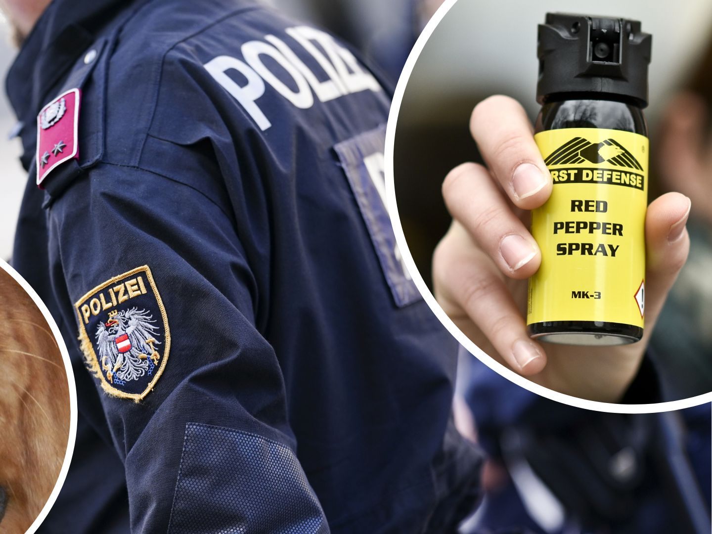 Polizei-Einsatz in Wien-Leopoldstadt.