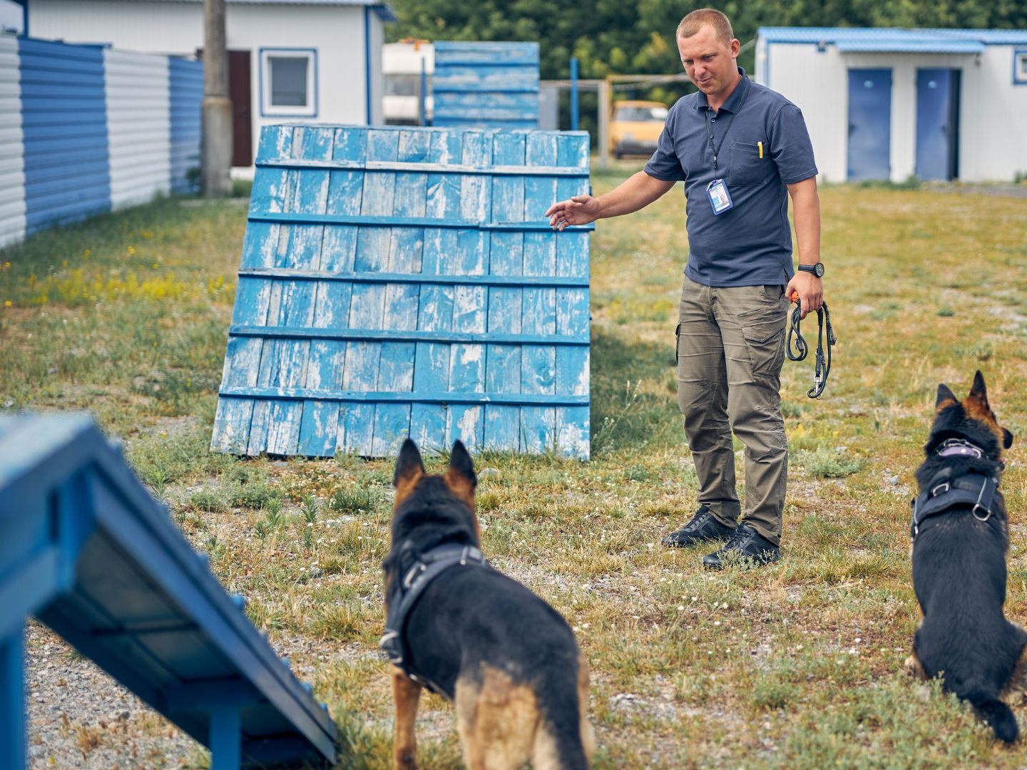 Der Kynologenverband beschloss strengere Regeln für Hundetrainer.