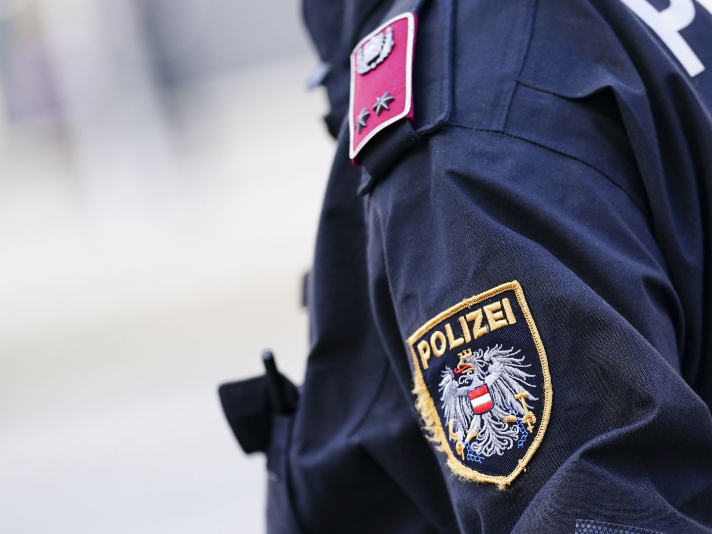 Ein 16- und ein 17-Jähriger wurden laut Wiener Polizei wegen des Verdachts des versuchten Einbruchsdiebstahls vorläufig festgenommen. Ein 16- und ein 17-Jähriger wurden laut Wiener Polizei wegen des Verdachts des versuchten Einbruchsdiebstahls vorläufig festgenommen.