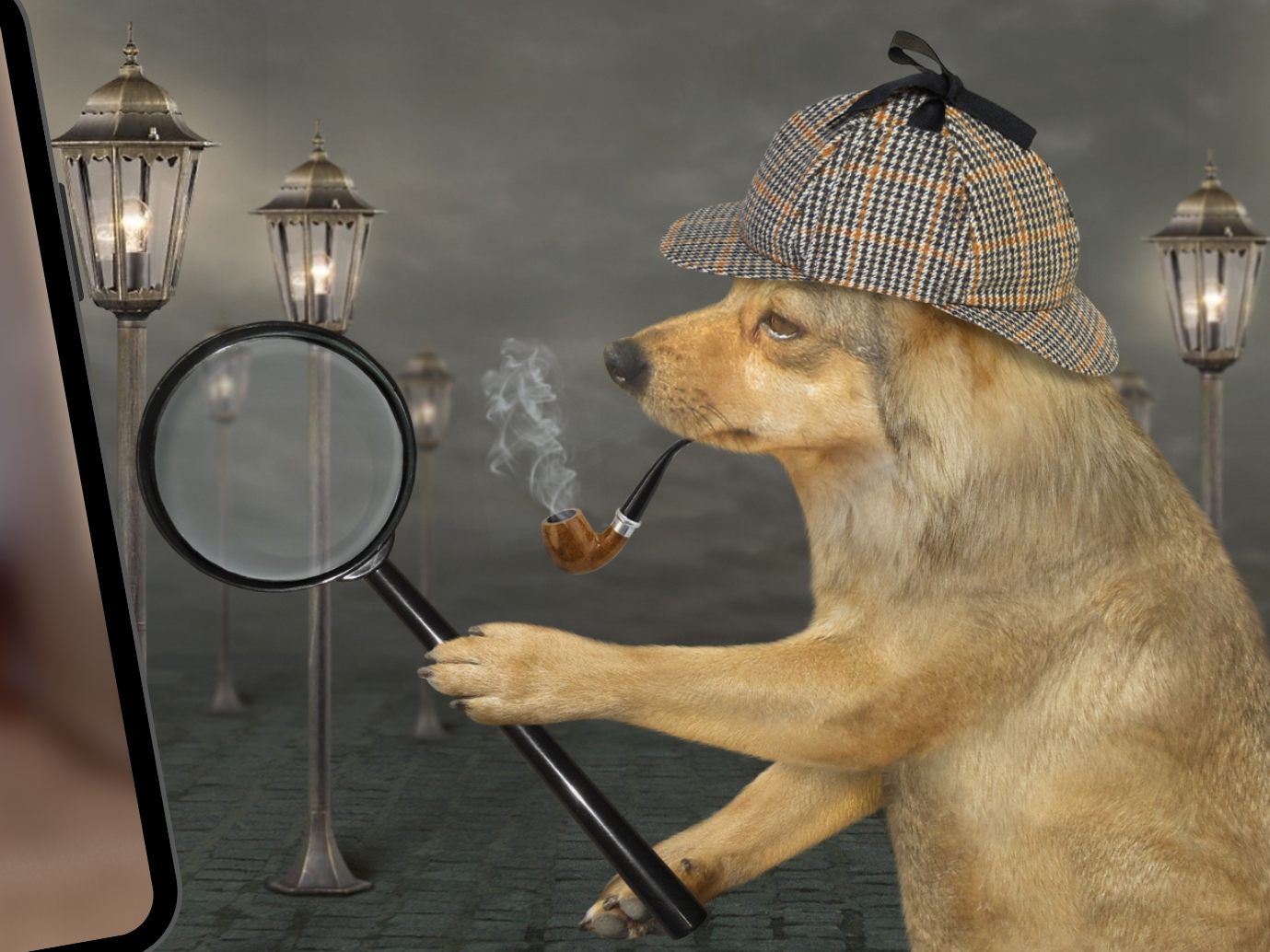 Versteckspiel zwischen Hund und Herrchen