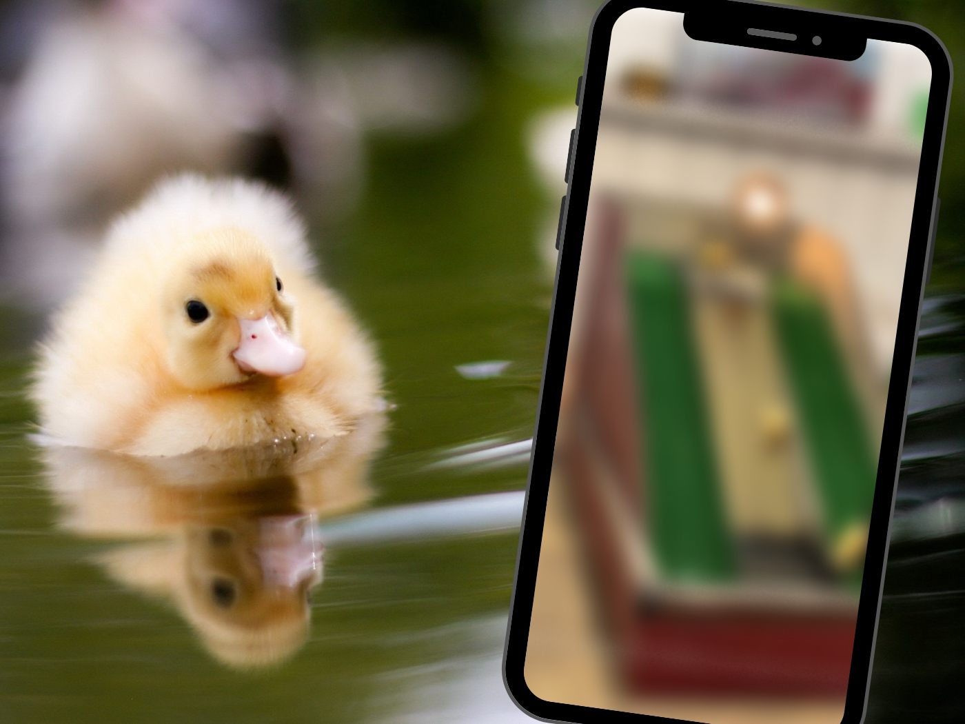 Entenbabys vergnügen sich im Entenparadies