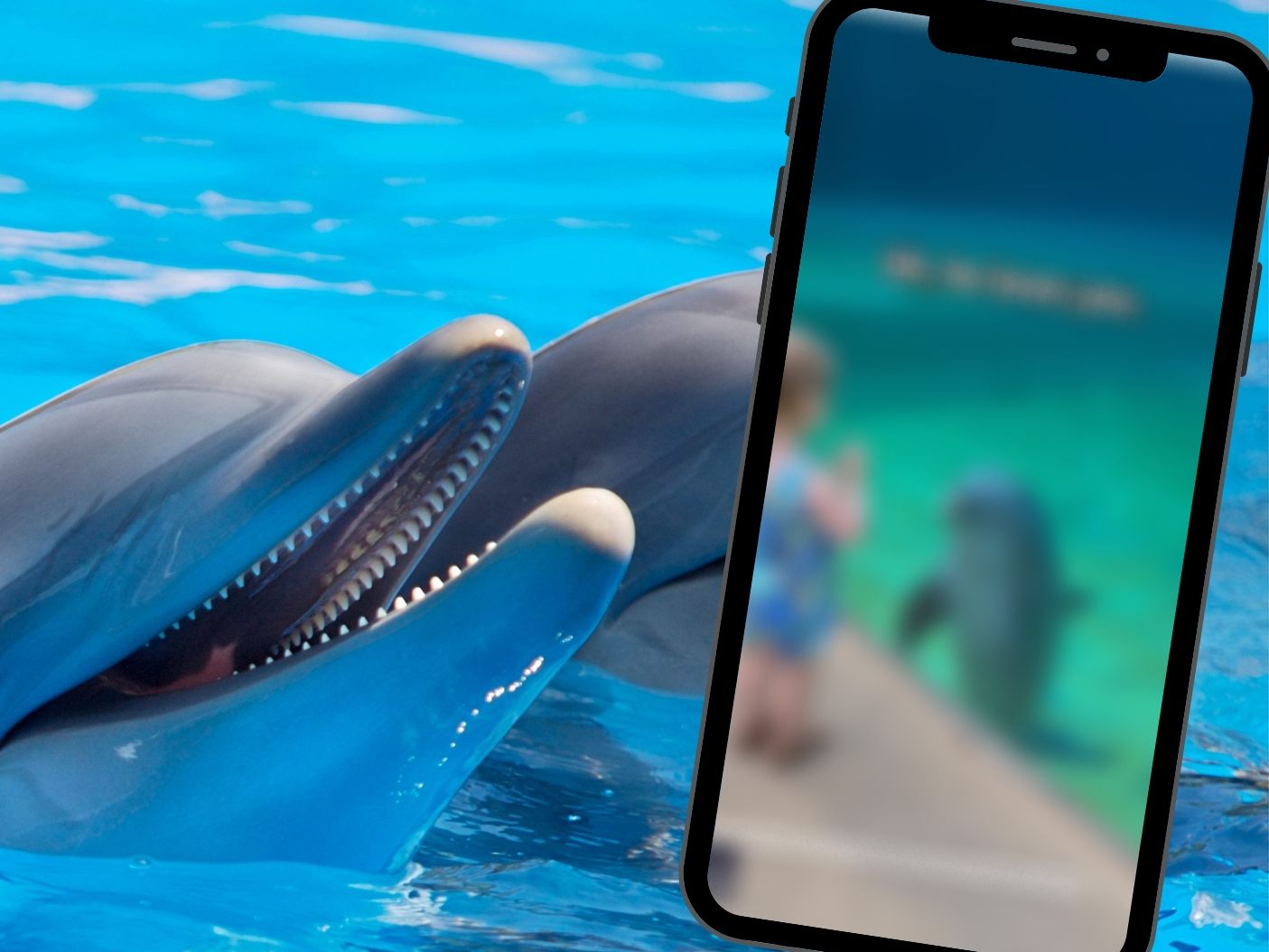 Delfin und kleines Mädchen scheinen miteinander zu kommunizieren