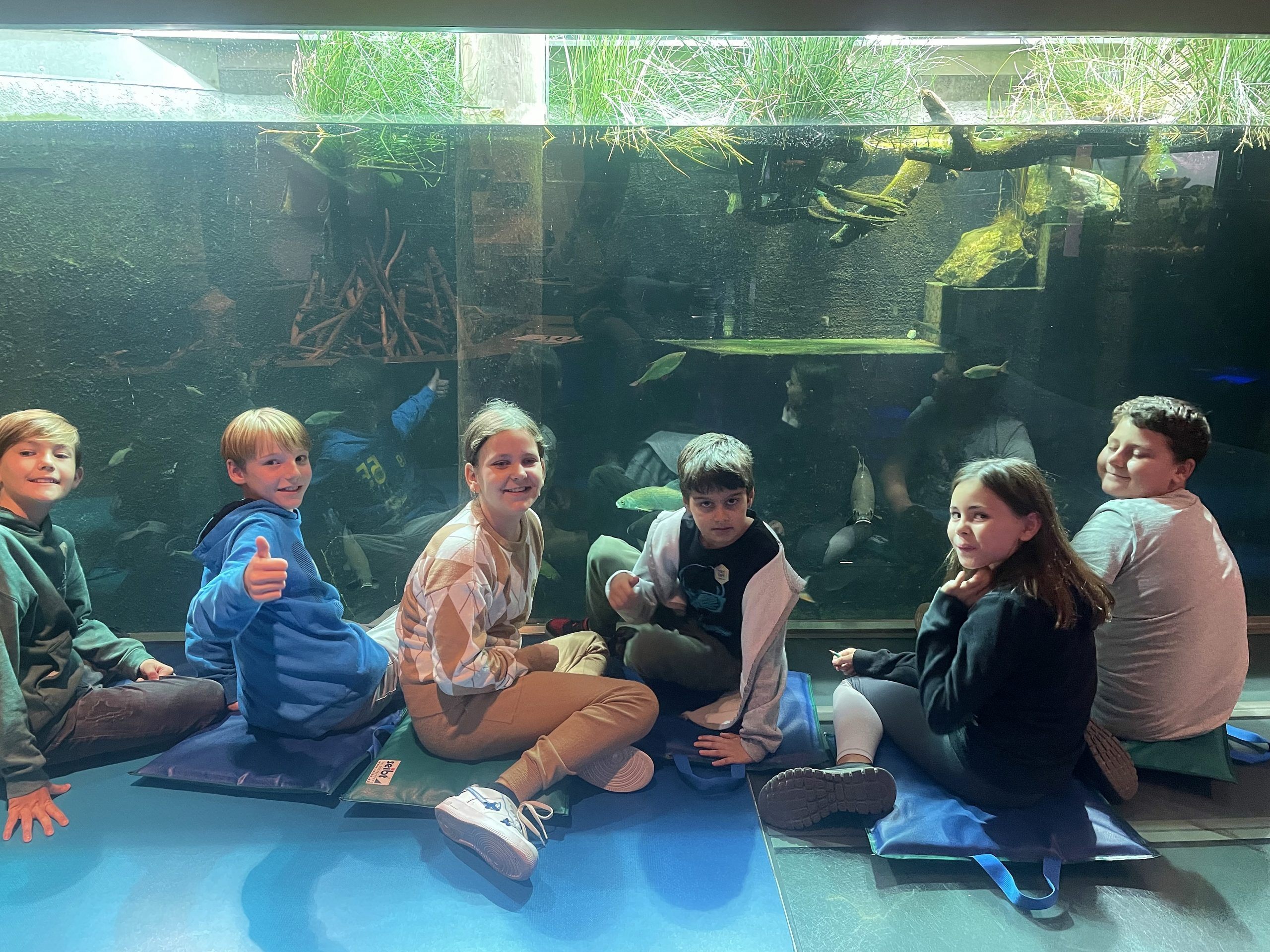 Die Kinder waren begeistert von der faszinierenden Welt der Fische. Die Kinder waren begeistert von der faszinierenden Welt der Fische.