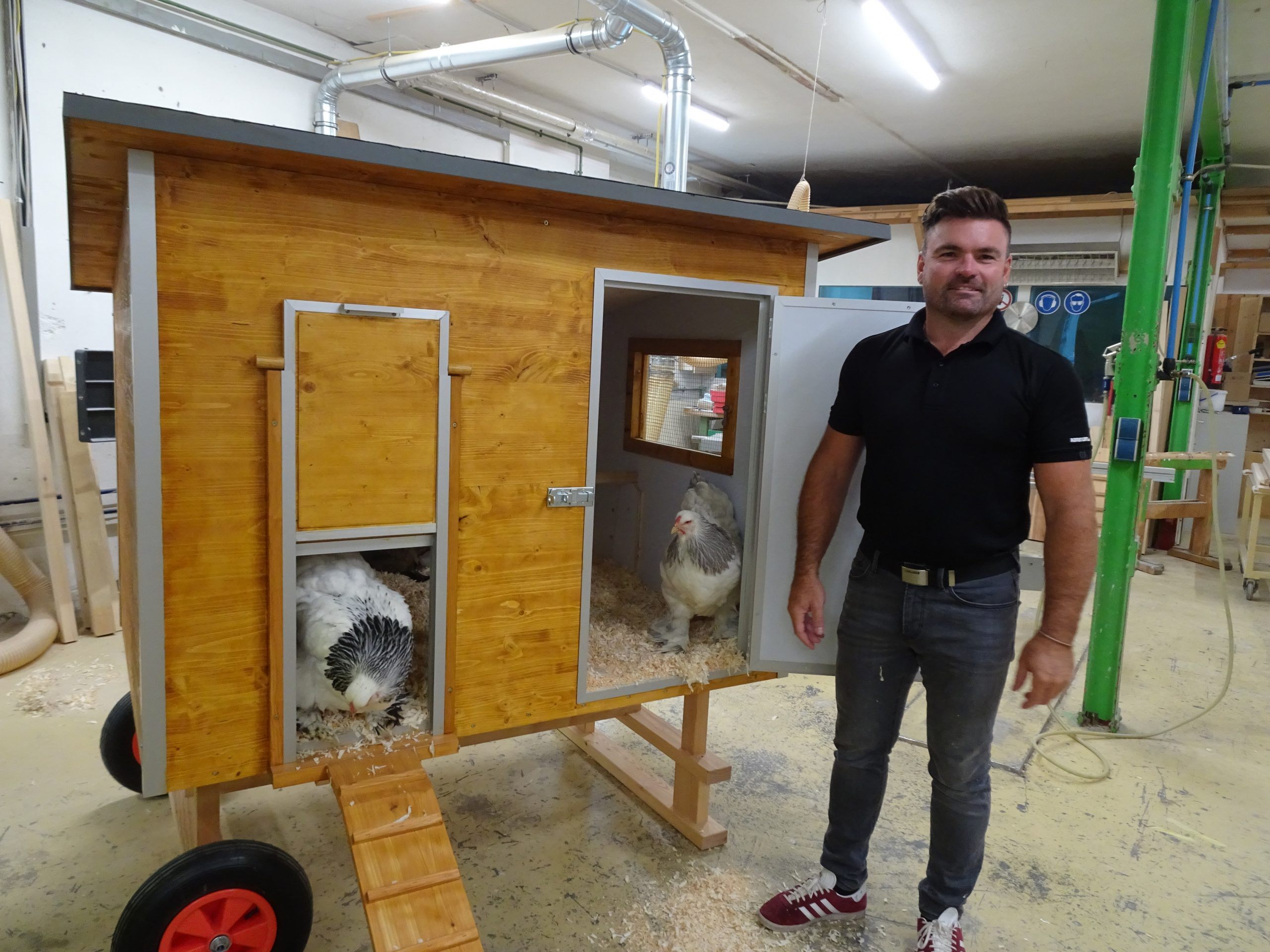 Kommendes Wochenende wird der neue Musterstall auf der Landesschau für Kleintierzüchter präsentiert (im Bild: Christoph Spiegel vom Kleintierzuchtverband). Kommendes Wochenende wird der neue Musterstall auf der Landesschau für Kleintierzüchter präsentiert (im Bild: Christoph Spiegel vom Kleintierzuchtverband).