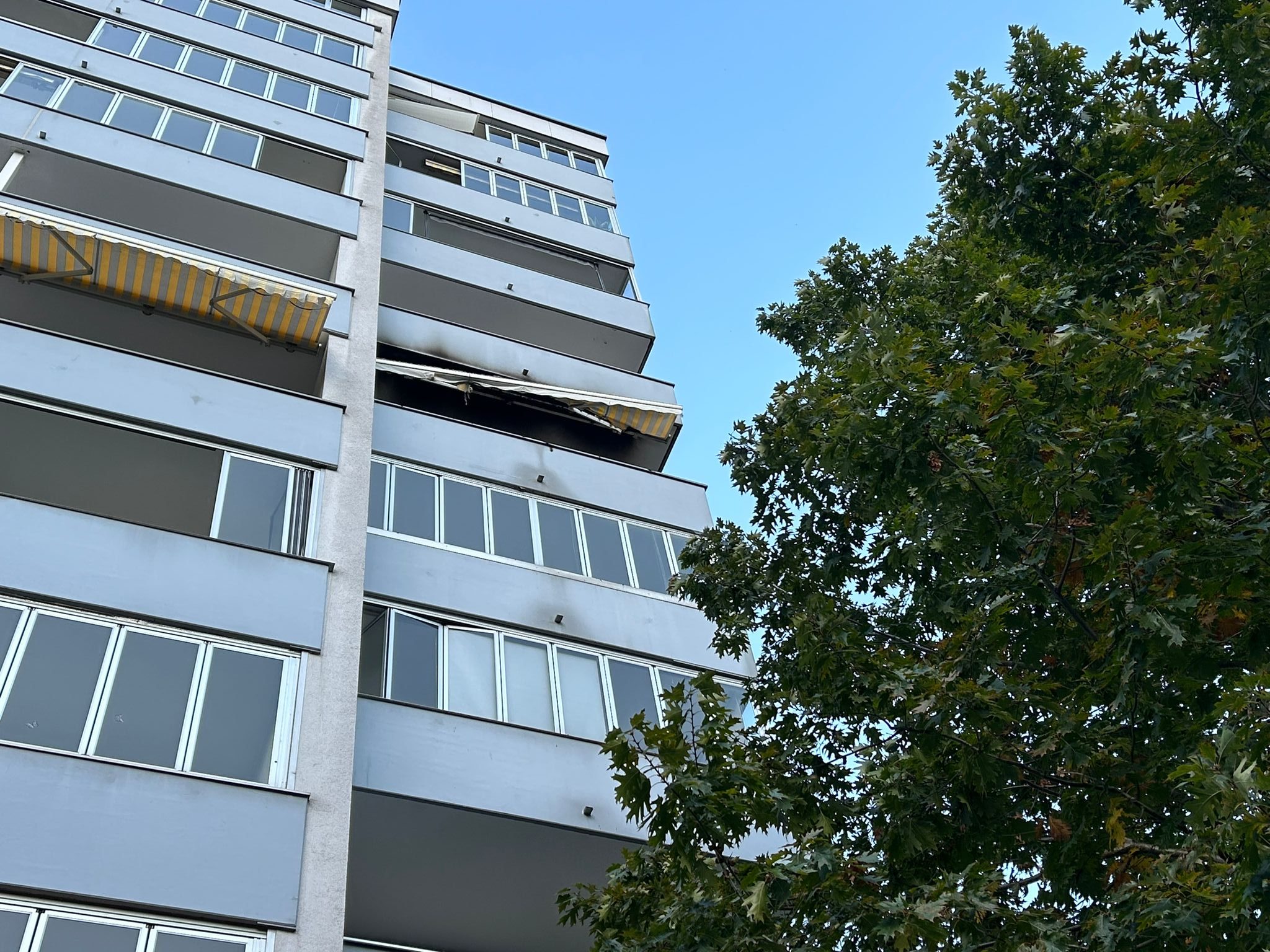 Am Freitag wurden die Einsatzkräfte in die Mutterstraße in Feldkirch gerufen. Am Freitag wurden die Einsatzkräfte in die Mutterstraße in Feldkirch gerufen.