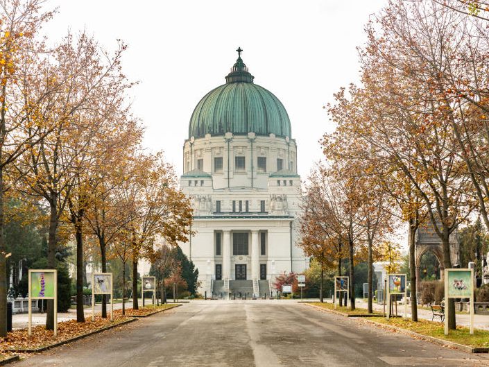 Am Wiener Zentralfriedhof eröffnete eien Open-Air-Ausstellung mit Tierfotos.