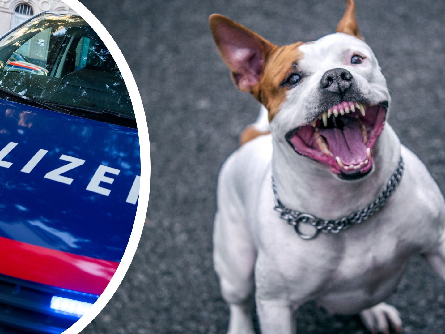 Frau an Ort und Stelle gestorben