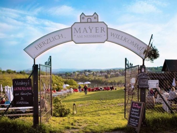 Der Buschenschank Mayer am Wiener Nussberg bietet ein besonderes Panorama. Der Buschenschank Mayer am Wiener Nussberg bietet ein besonderes Panorama.