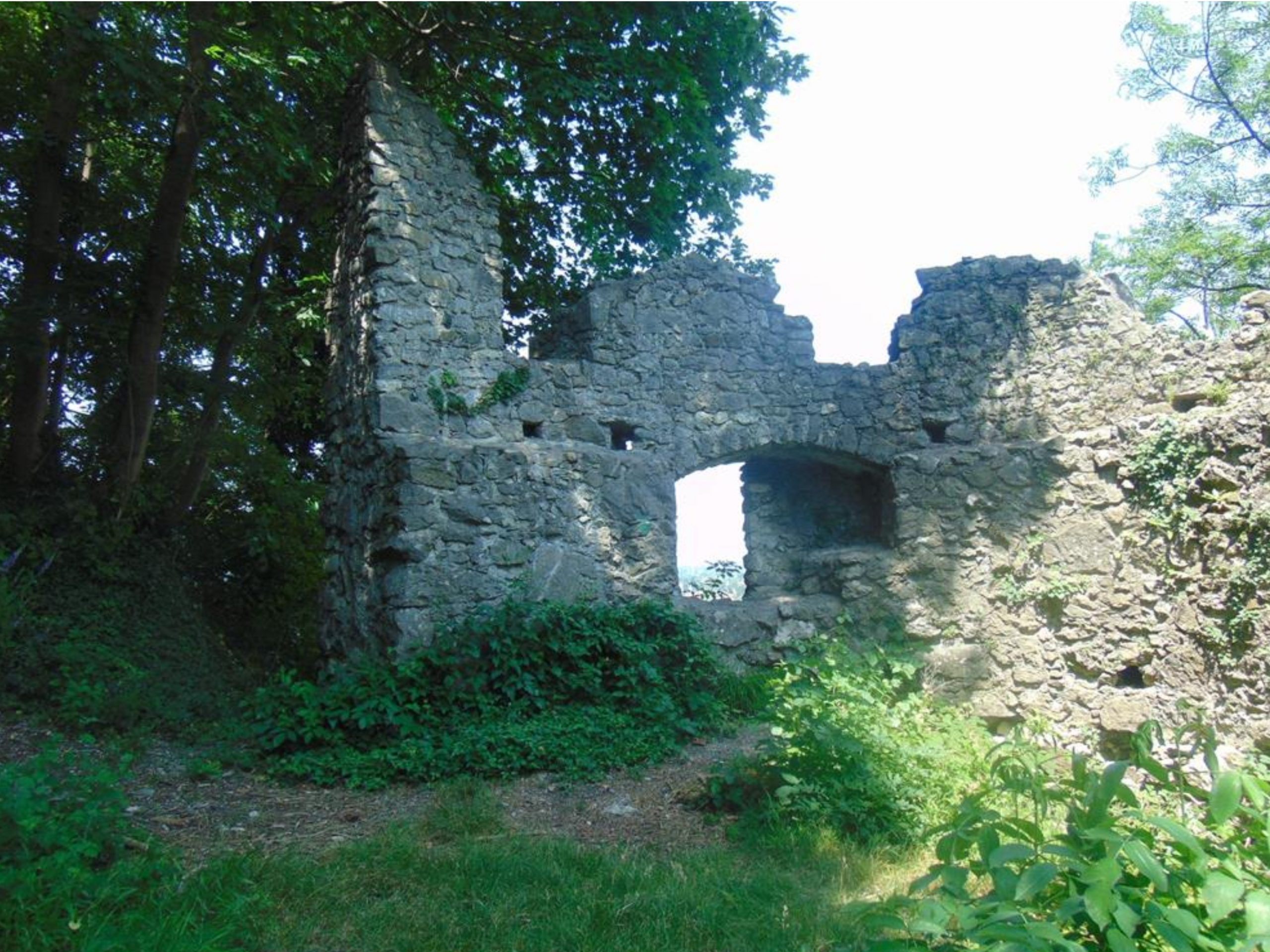 Am Samstag, den 4. November, findet bei der Burgruine Neuburg ein Aktionstag zur Ausforstung statt.