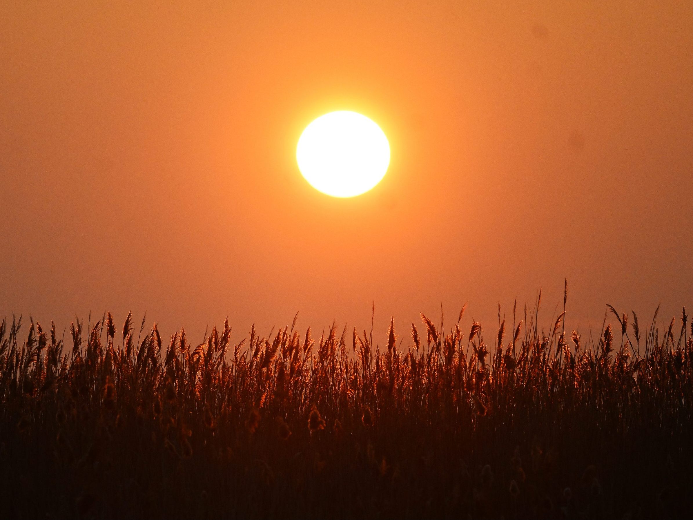 Der Sonntag wird nach verregnetem Start ins Wochenende sonnig. Der Sonntag wird nach verregnetem Start ins Wochenende sonnig.