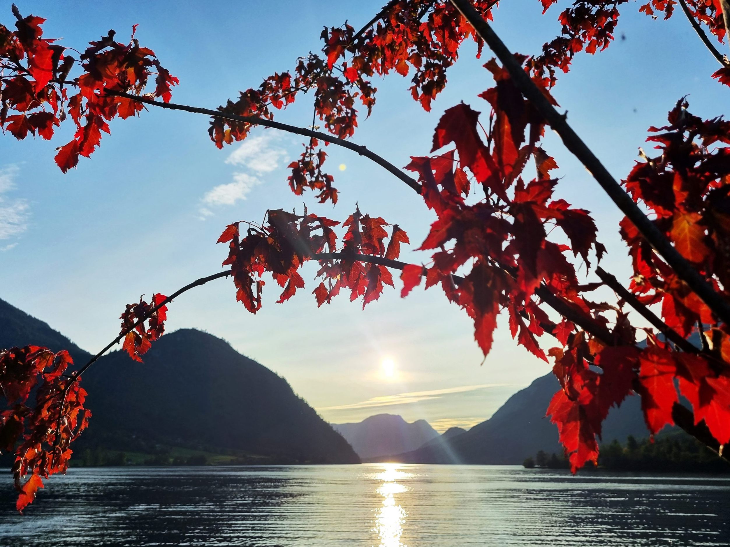 Im Tiefland gab es in Österreich heuer den wärmsten Herbst der Messgeschichte.