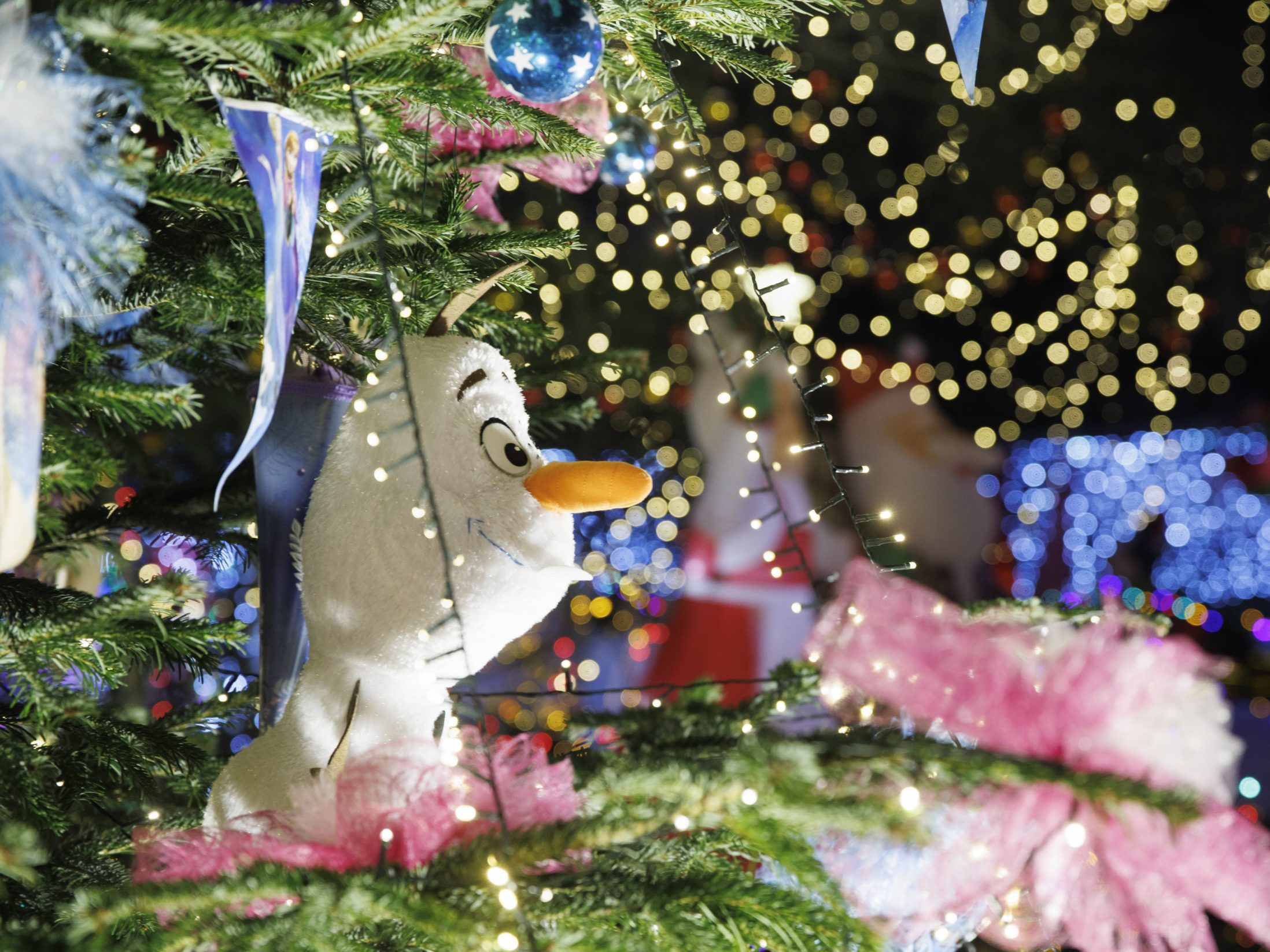 Ab Ende November erstrahlt das Weihnachtshaus in Bad Tatzmannsdorf wieder.