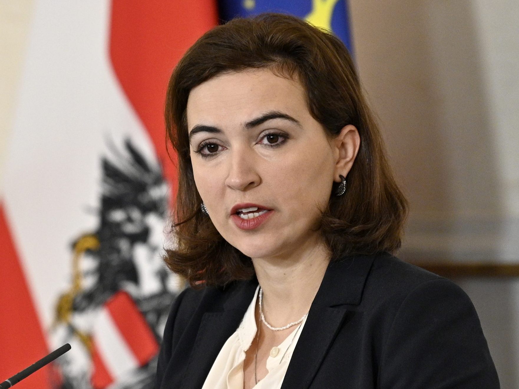 Zadic präsentierte das Konzept zur Rehabilitierung und Entschädigung.