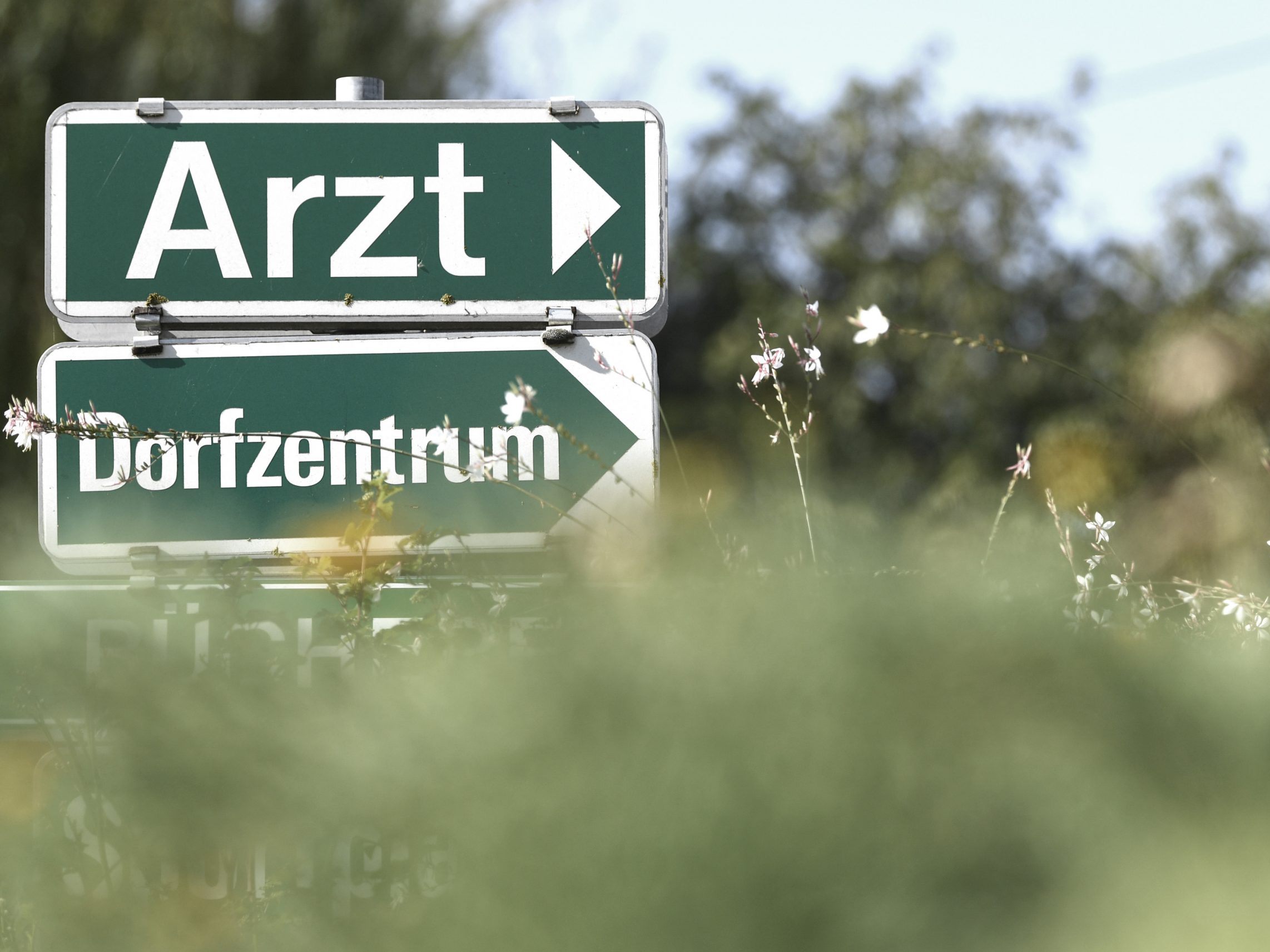 Details zur Gesundheitsreform. Details zur Gesundheitsreform.
