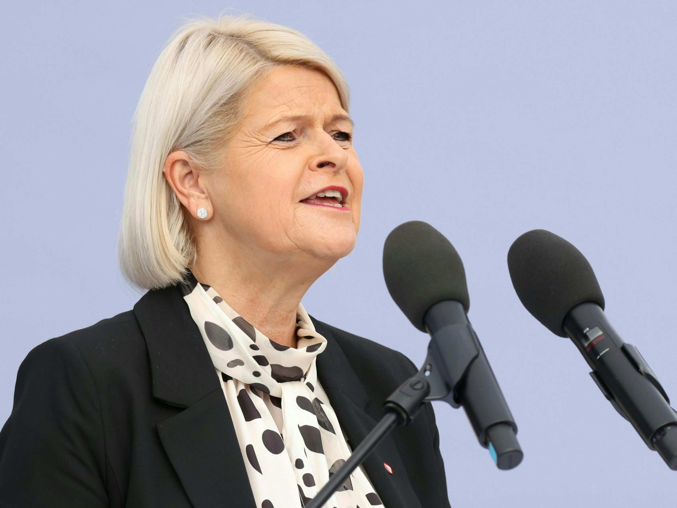 Österreich will Langstrecken-Luftabwehrraketen beschaffen.