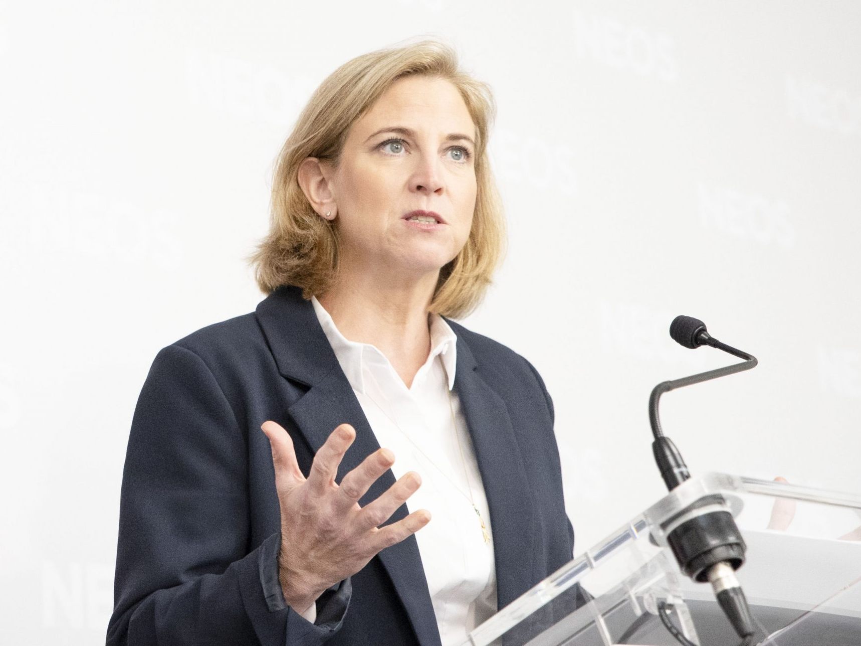 NEOS-Chefin Meinl-Reisinger will Gespräche zu einem Schulfach Demokratie. NEOS-Chefin Meinl-Reisinger will Gespräche zu einem Schulfach Demokratie.