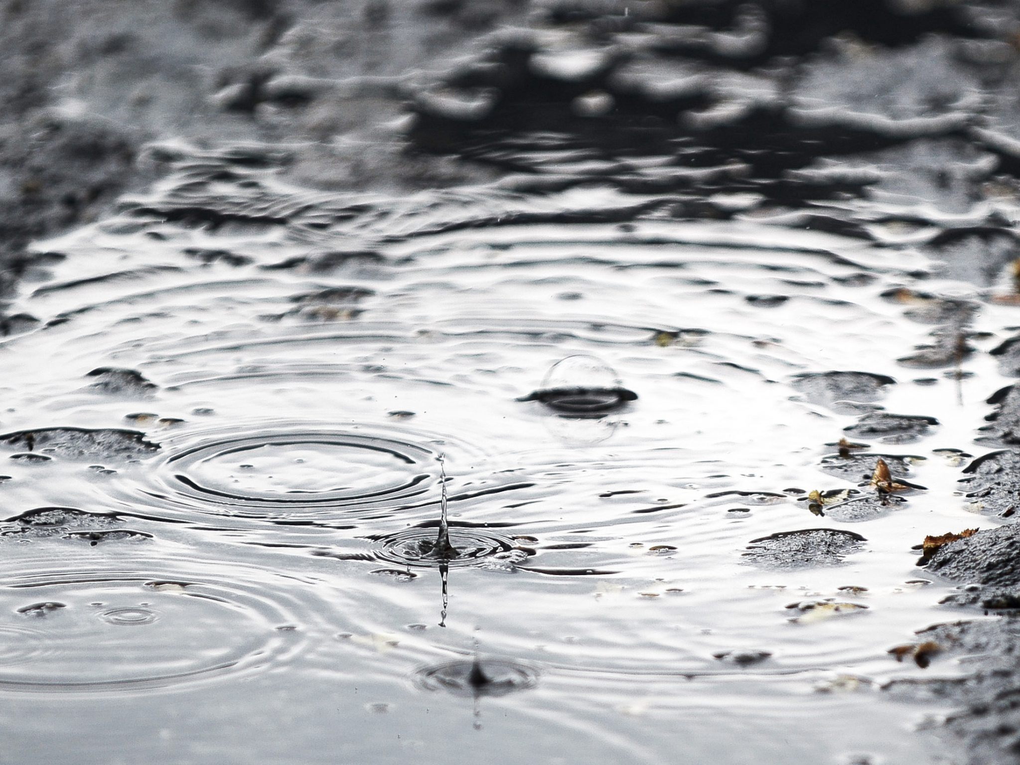 Im Bild: Eine Lacke.