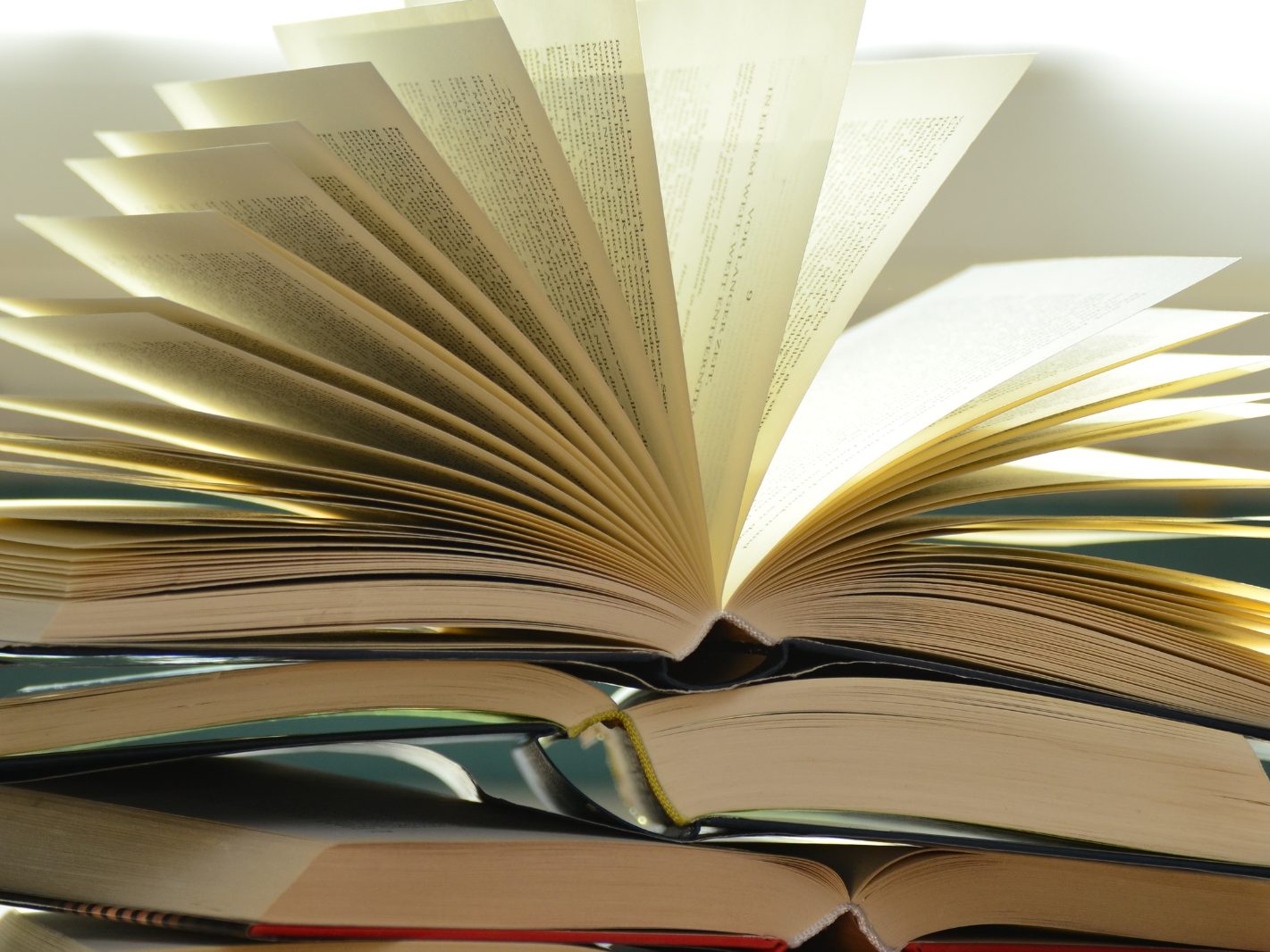 Der Österreichische Buchpreis wird verliehen.