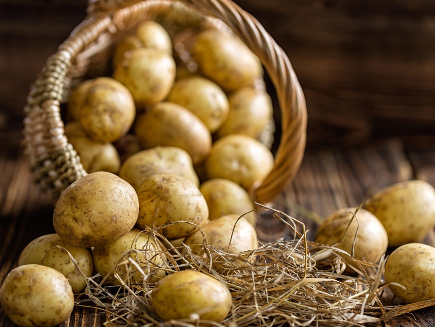 Besonders gelitten hat heuer die Erdäpfelproduktion.