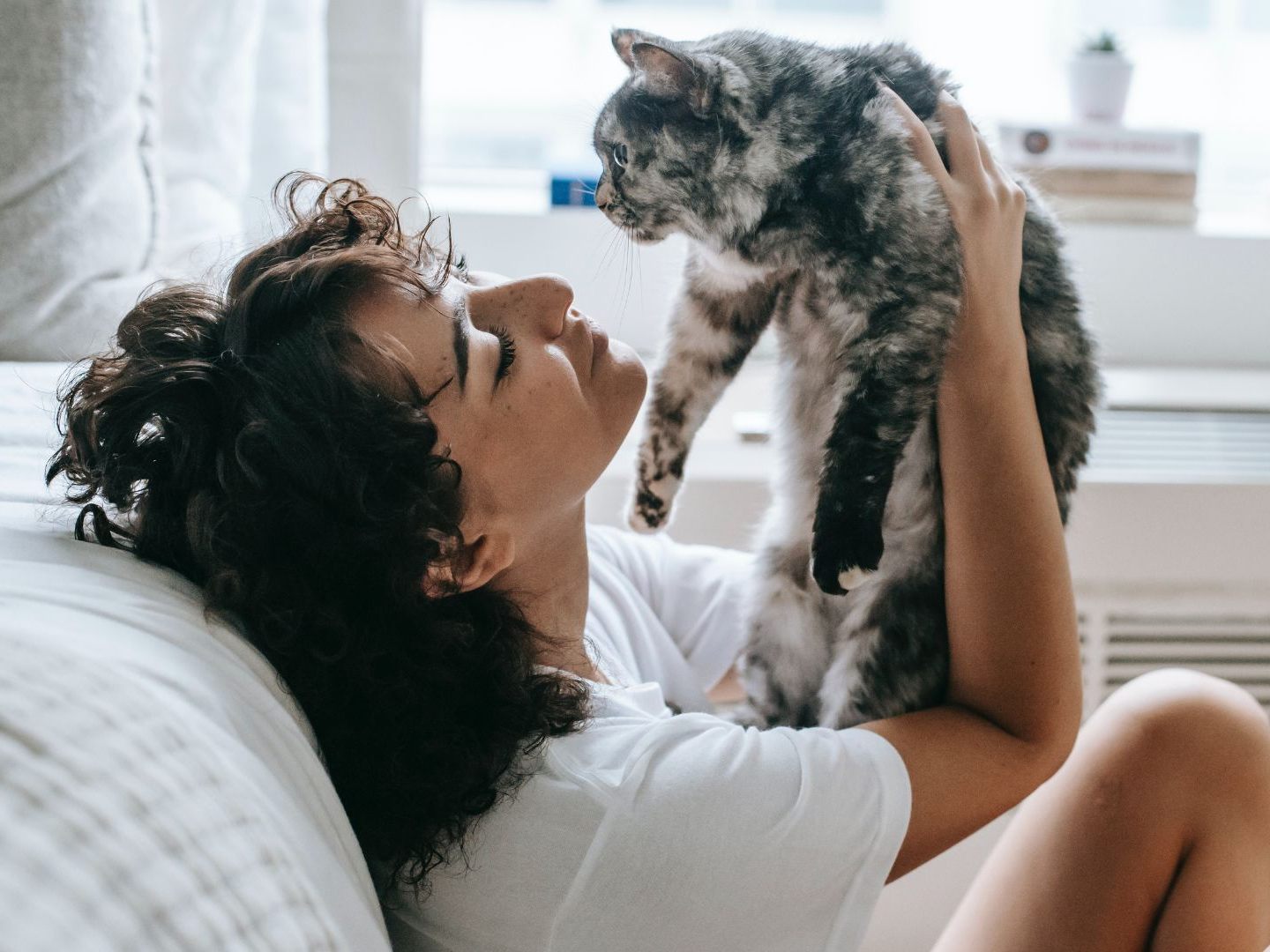 Katzen kommunizieren mit dem Menschen durch unterschiedliche Laute.