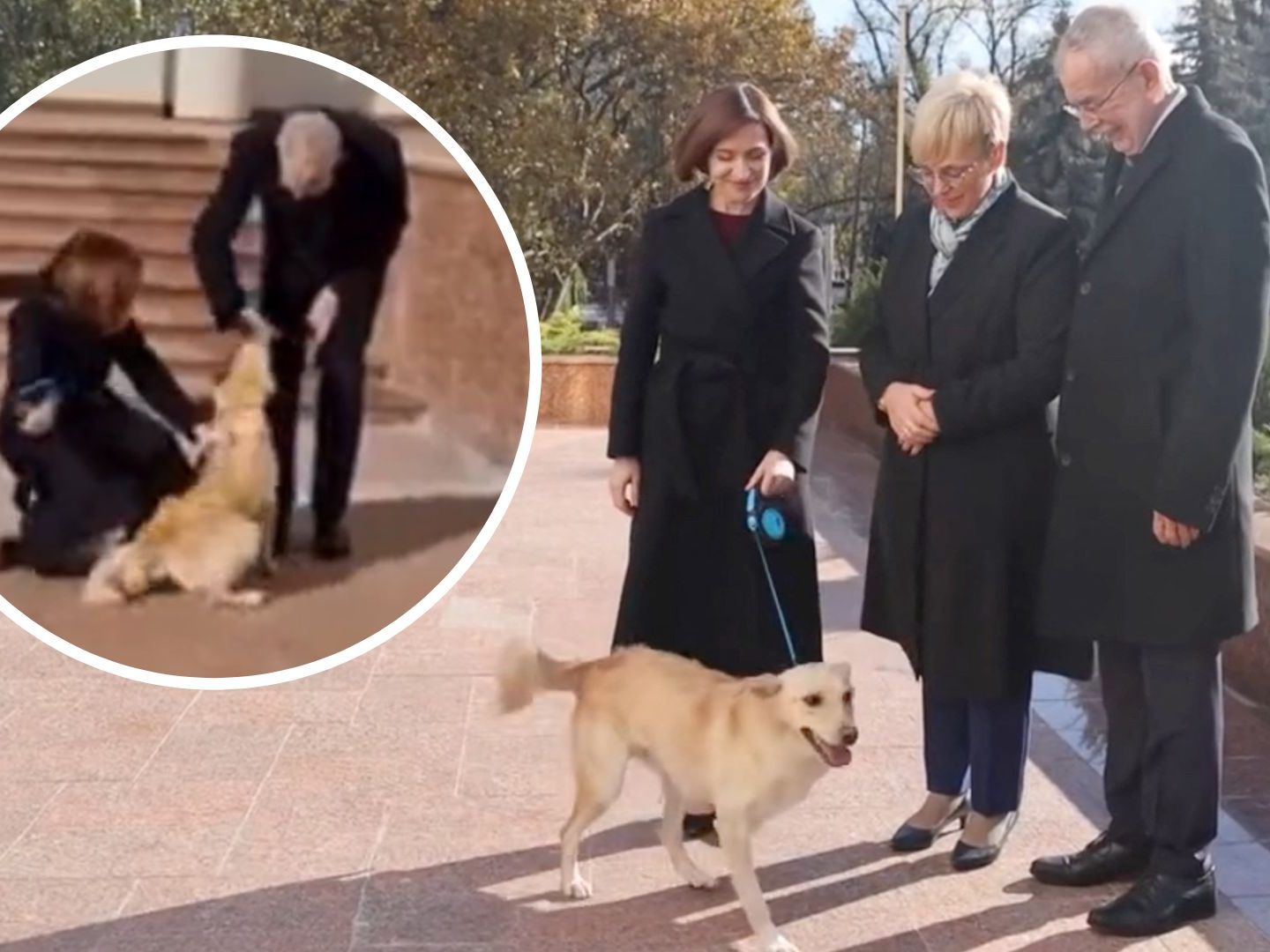 Der Hund der moldauischen Präsidentin schnappte zu. Der Hund der moldauischen Präsidentin schnappte zu.