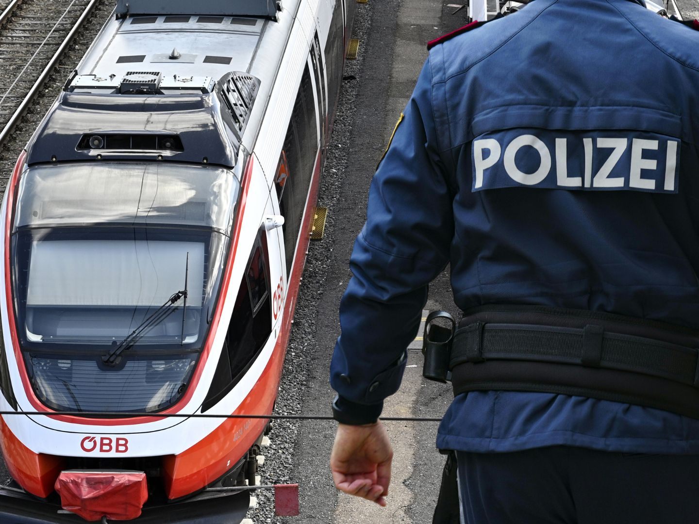 Zwei Zeugen des Vorfalls wurden auf Wunsch des Zugbegleiters von der Polizei aus dem Zug geholt,