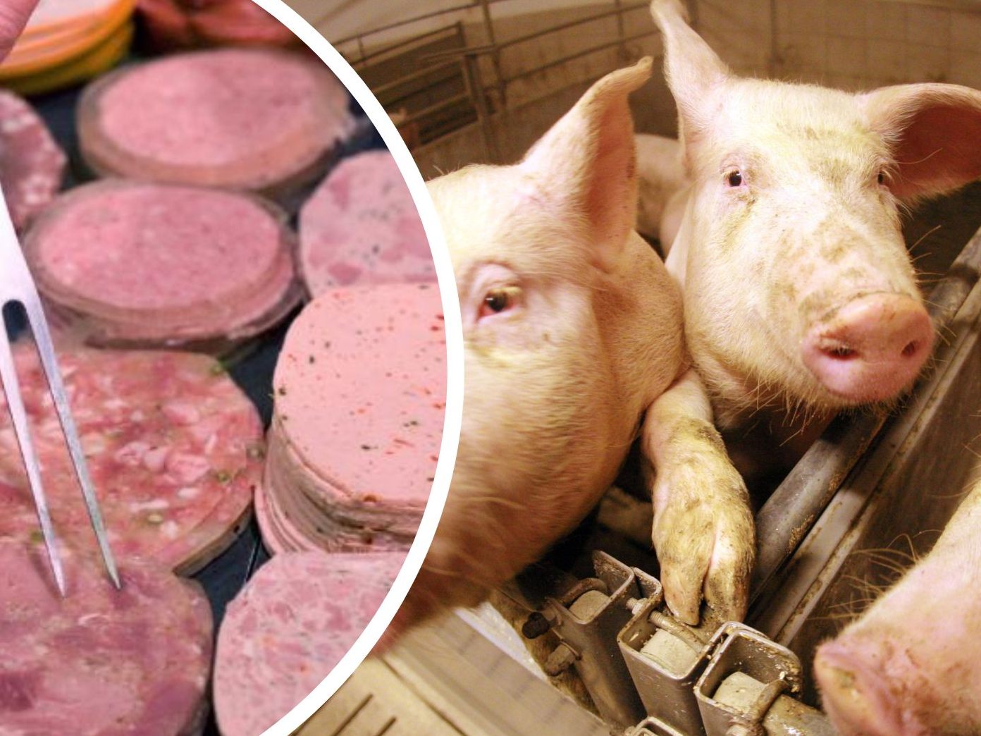 Bei den Resultaten des Market-Checks 2023 von Greenpeace könne einem "die Lust aufs Schnitzel" vergehen. Bei den Resultaten des Market-Checks 2023 von Greenpeace könne einem "die Lust aufs Schnitzel" vergehen.