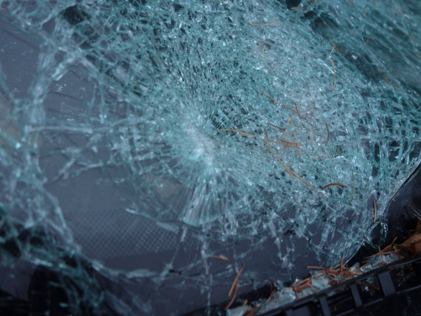Die Beifahrerin starb nach dem Unfall auf der A1 noch selbstständig aus, bevor sie tot zusammenbrach.