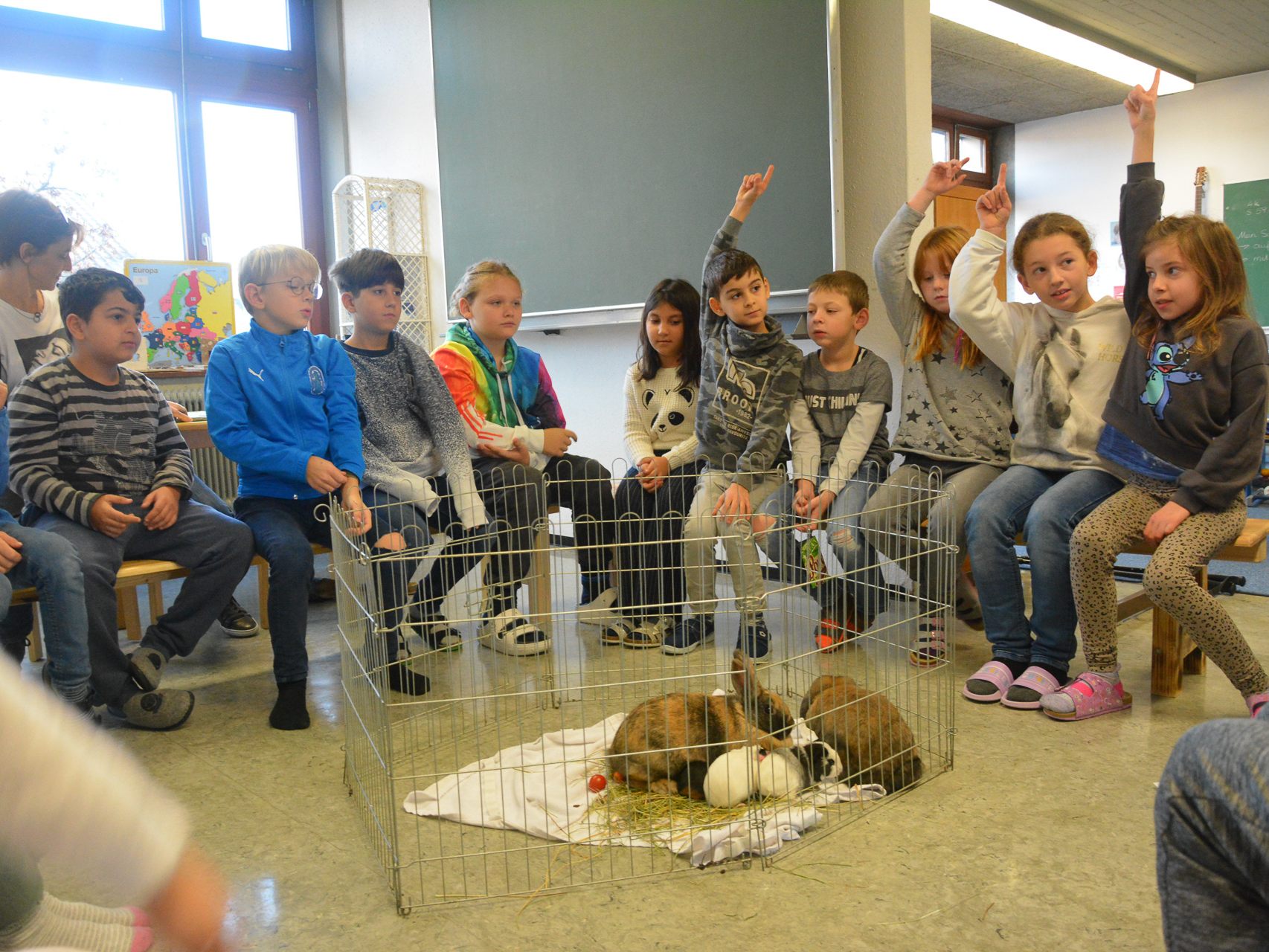 Tierischen Besuch hatten heute die 3b und 1a-Klasse der Volksschule Rotkreuz.