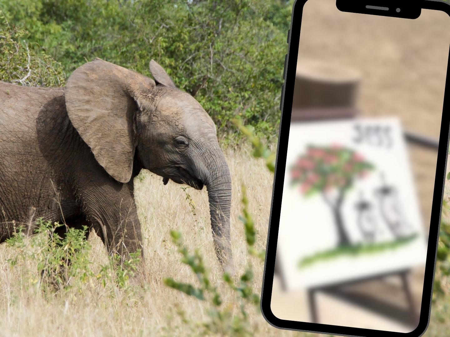 Elefant Suda hat besonderes Talent